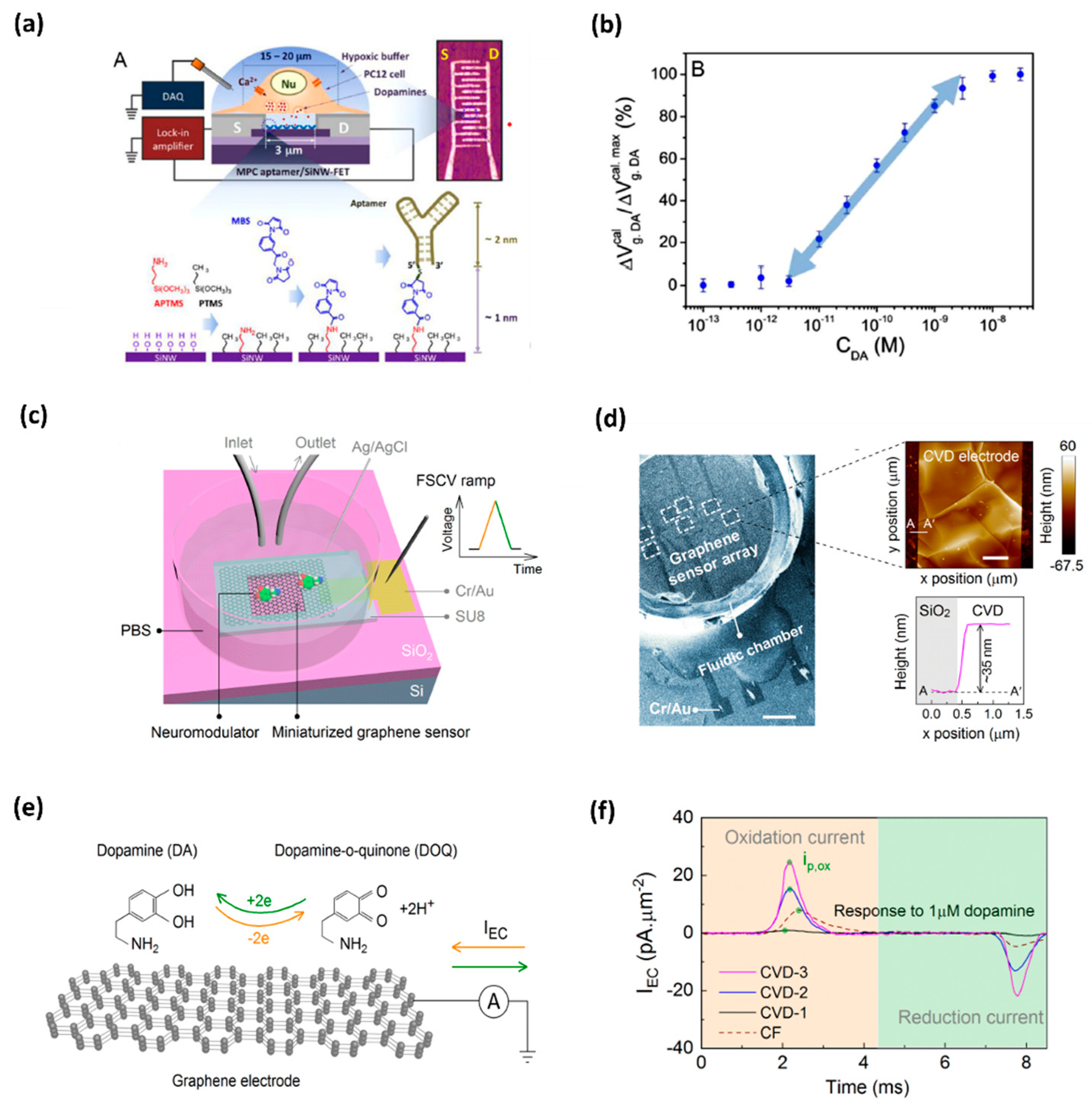 Biosensors 11 00433 g001