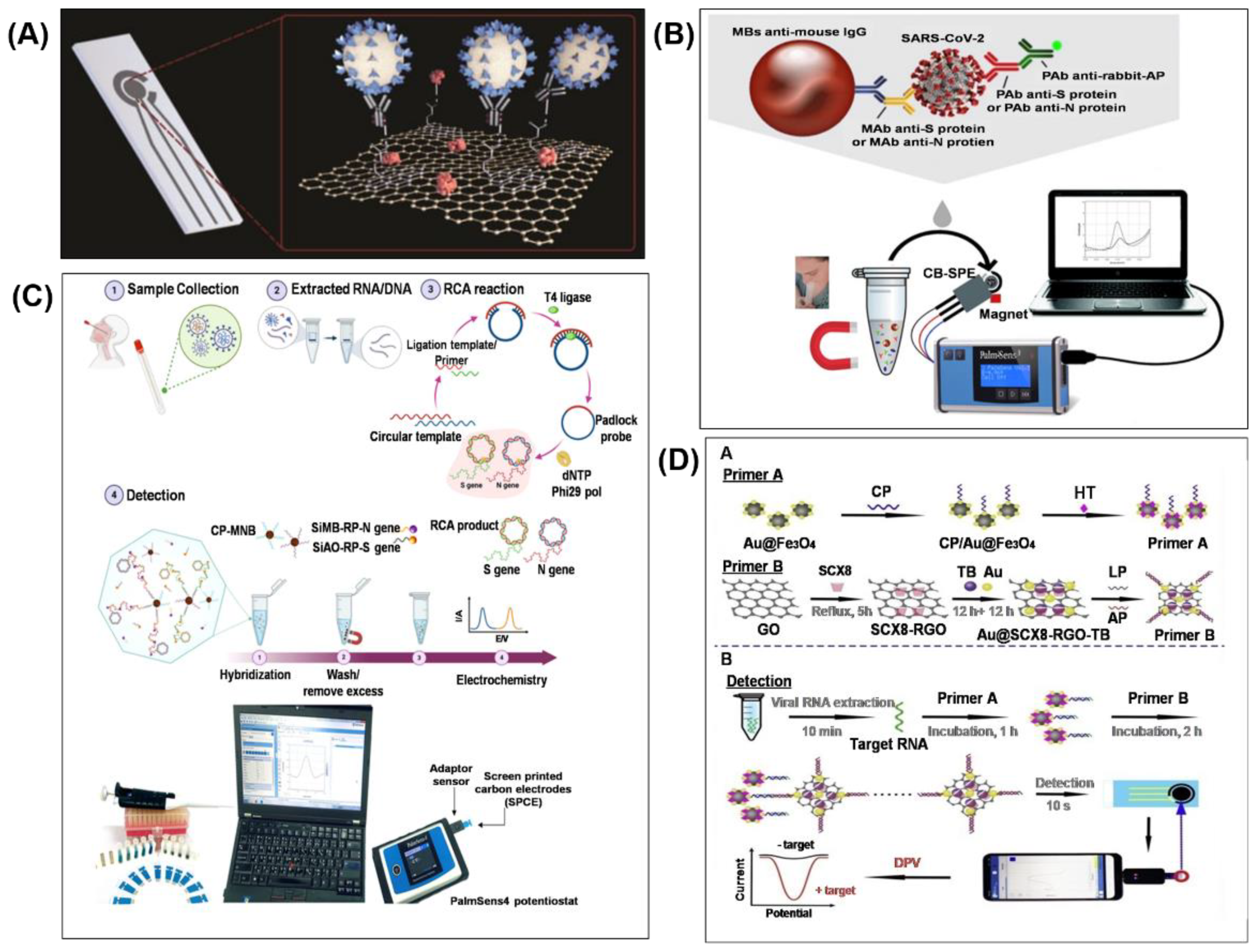 Biosensors 11 00434 g005