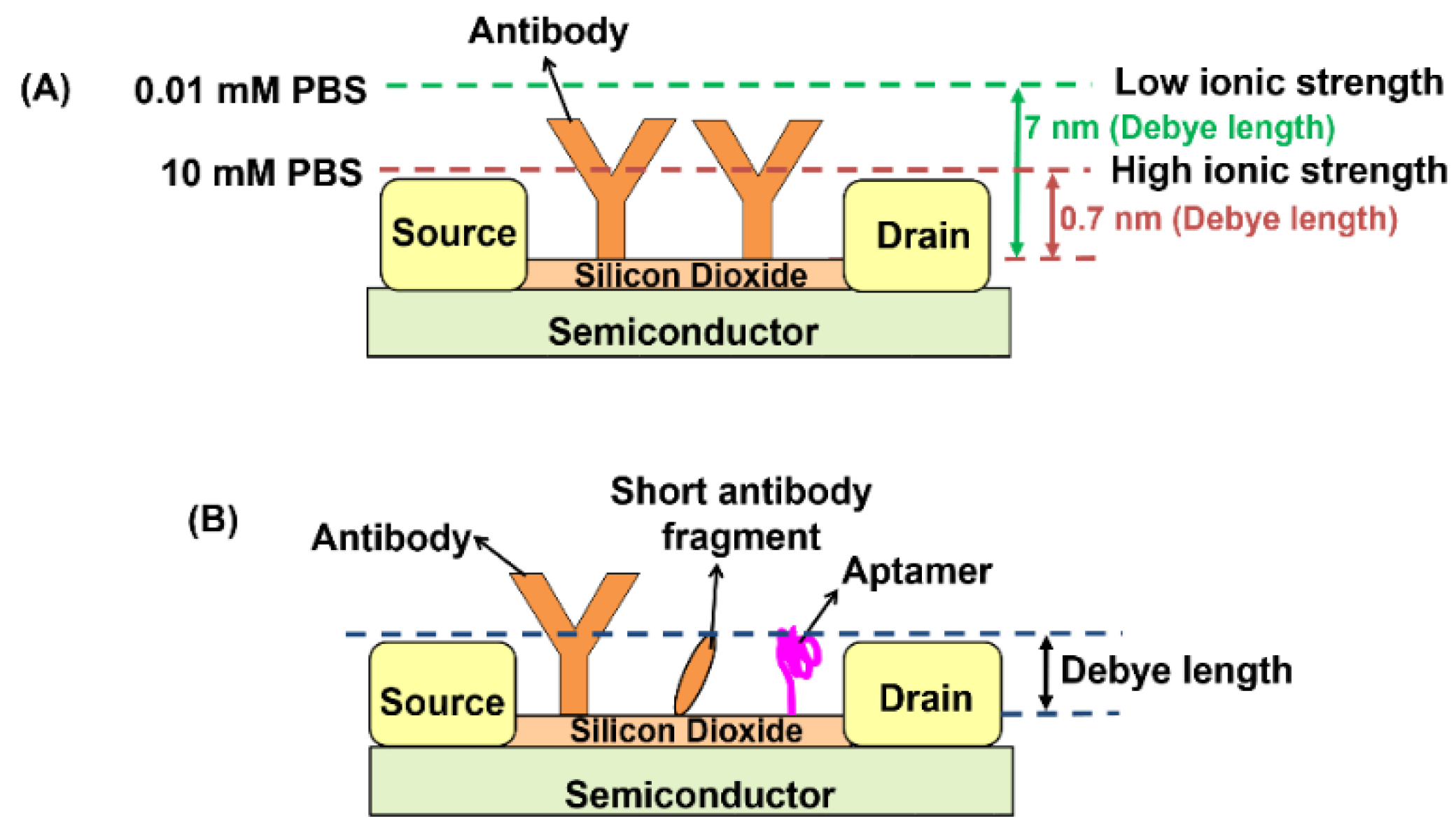 Biosensors 11 00434 g009