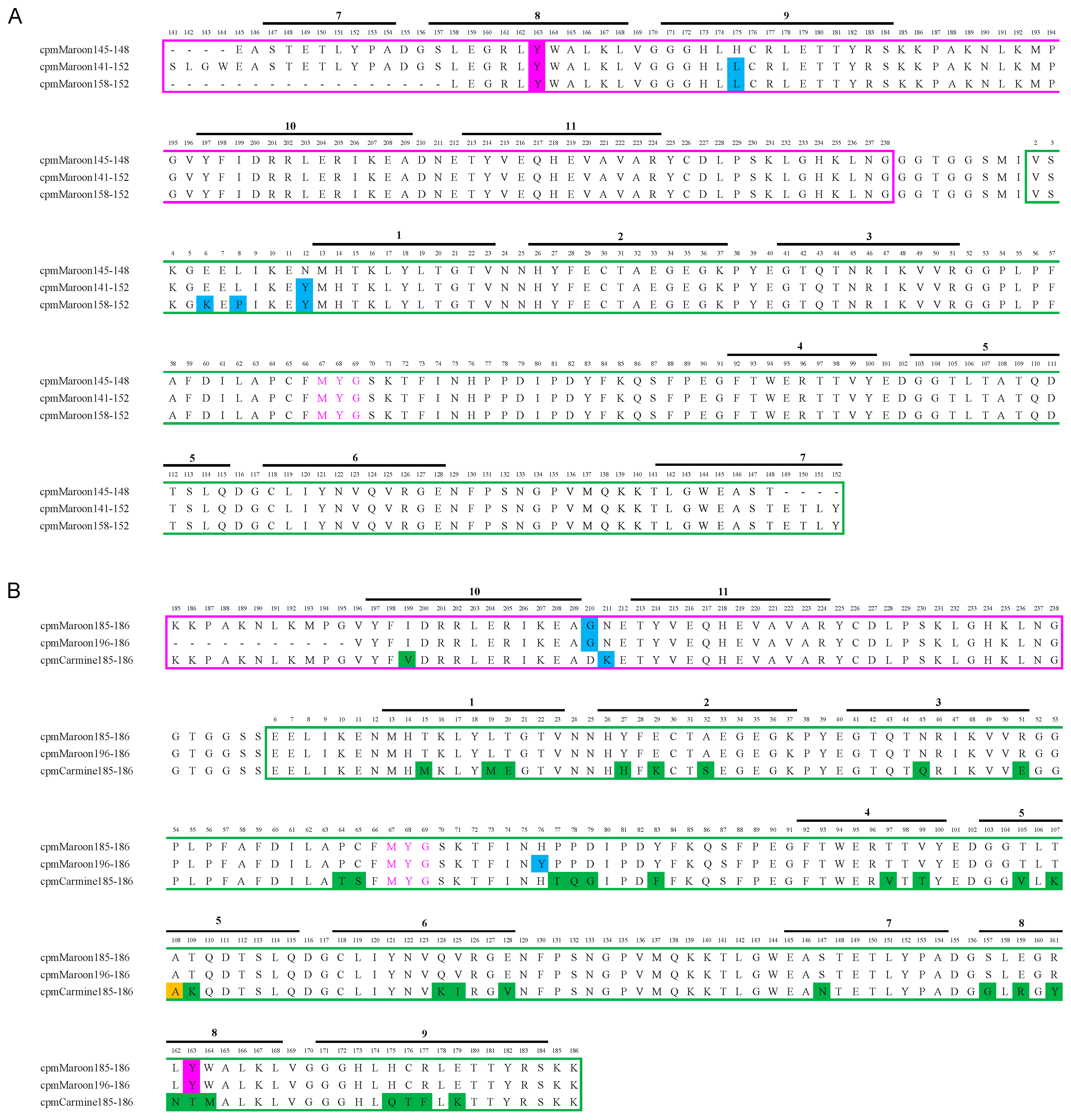 Biosensors 11 00438 g003