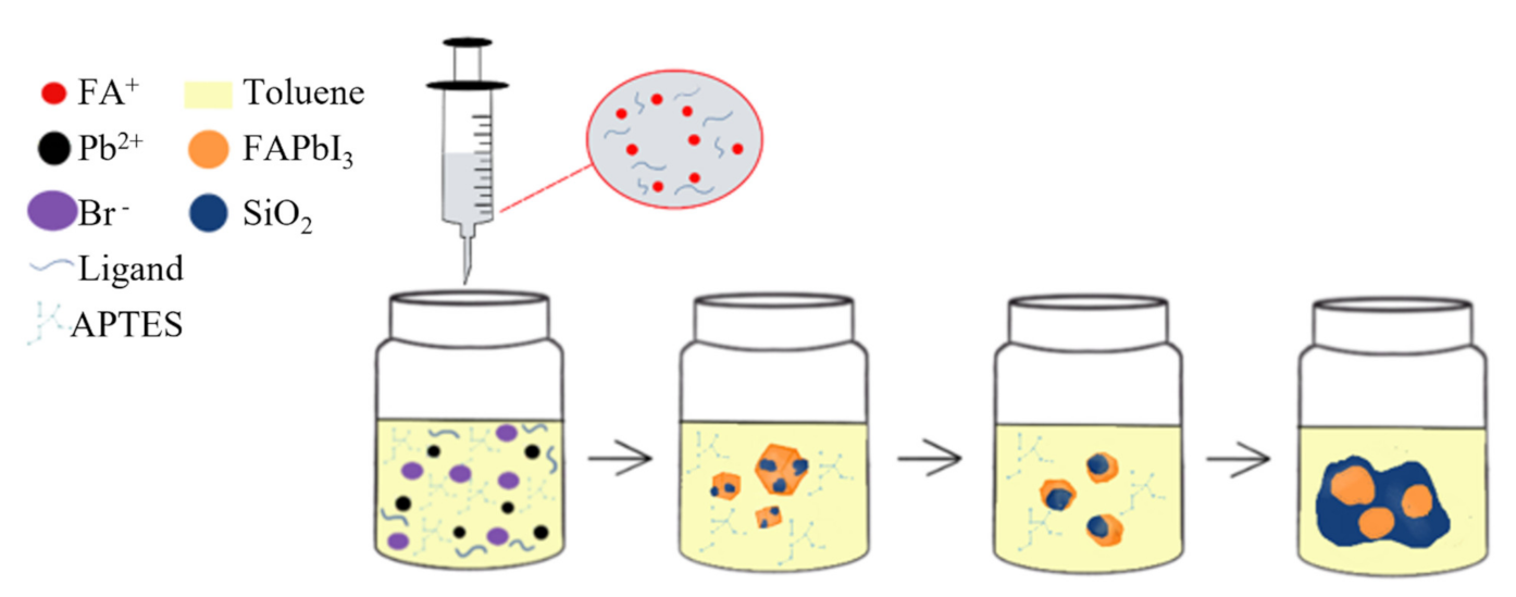Biosensors 11 00440 g001