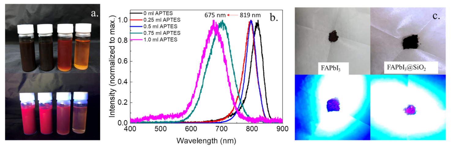 Biosensors 11 00440 g005