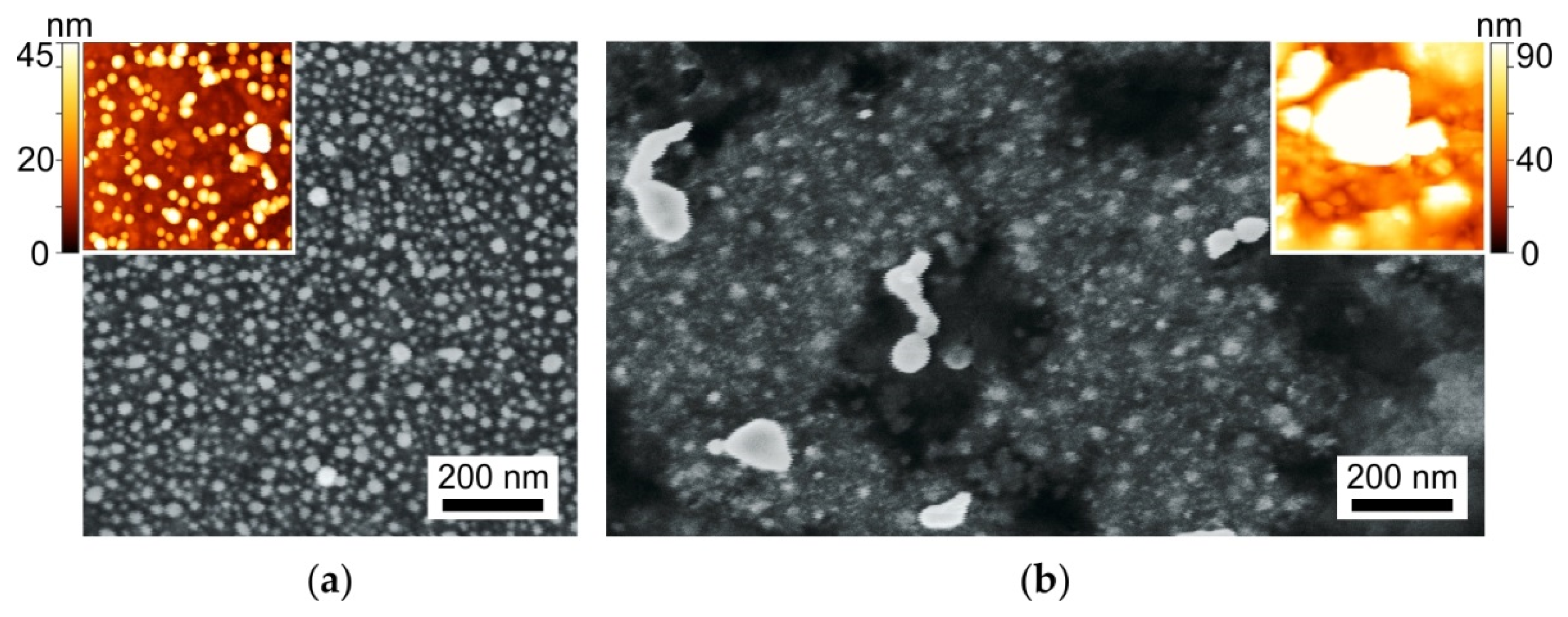Biosensors 11 00448 g001