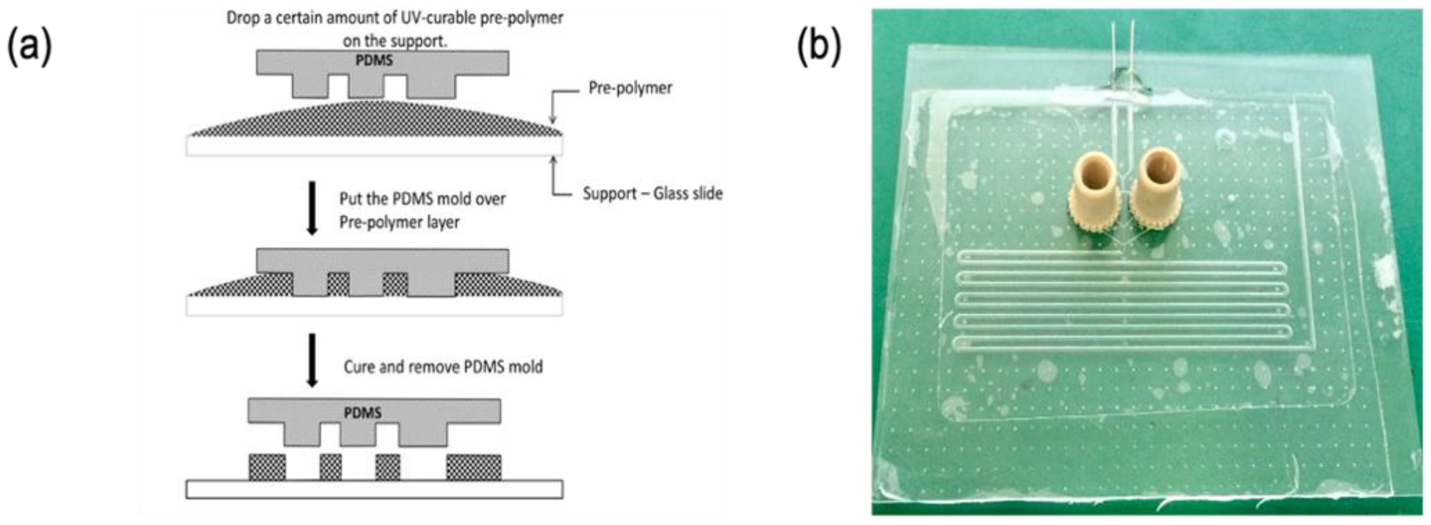 Biosensors 11 00460 g001 550