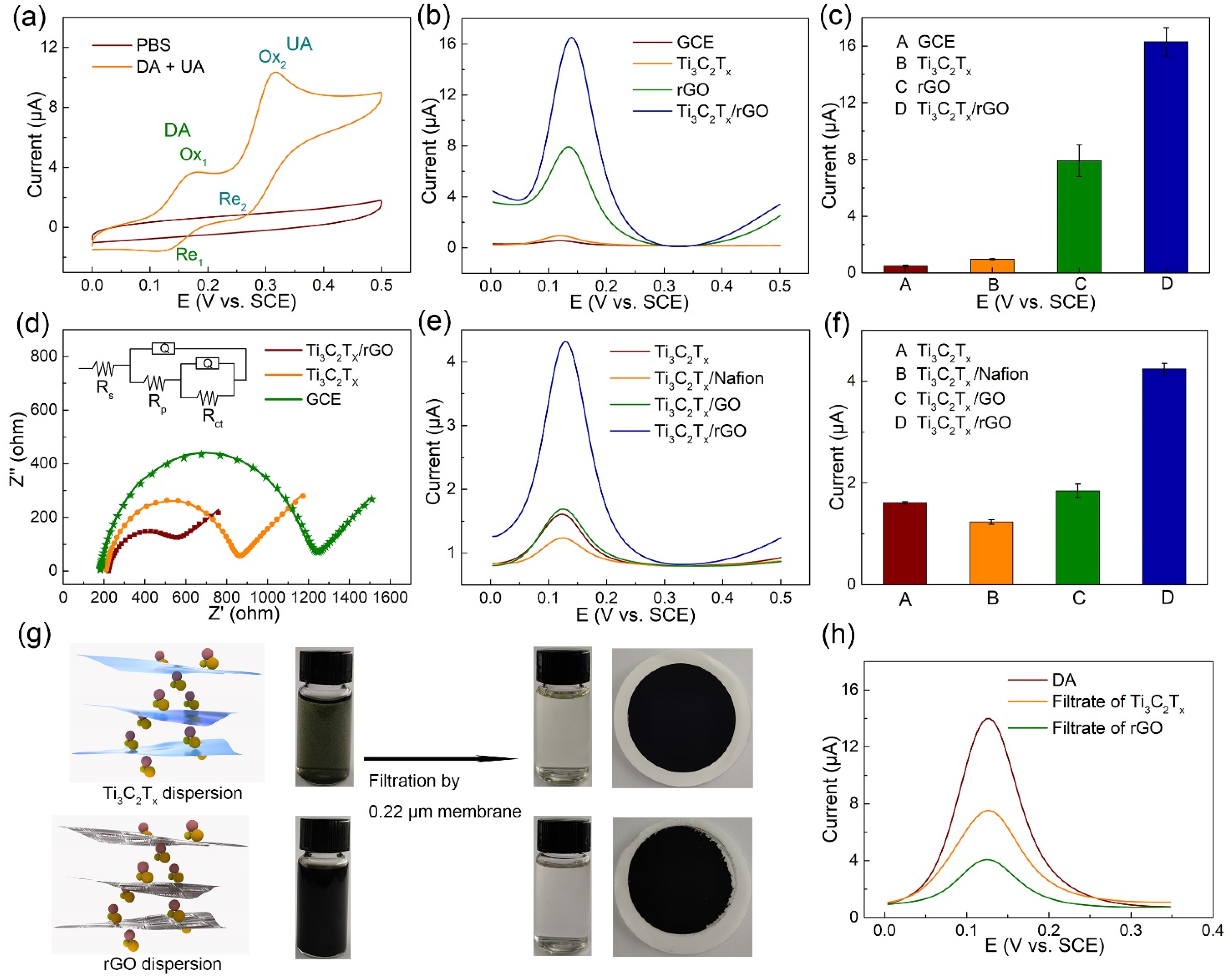 Biosensors 11 00462 g003 Biosensors 11 00462 g003