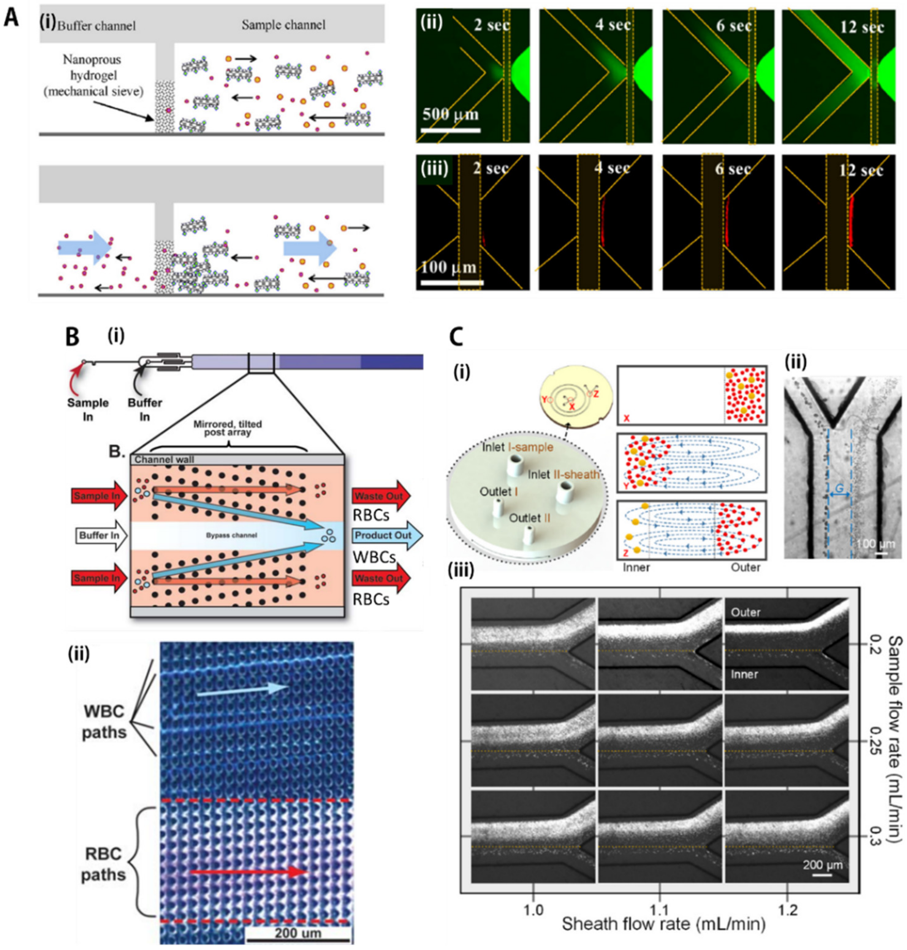 Biosensors 11 00464 g002 Biosensors 11 00464 g002