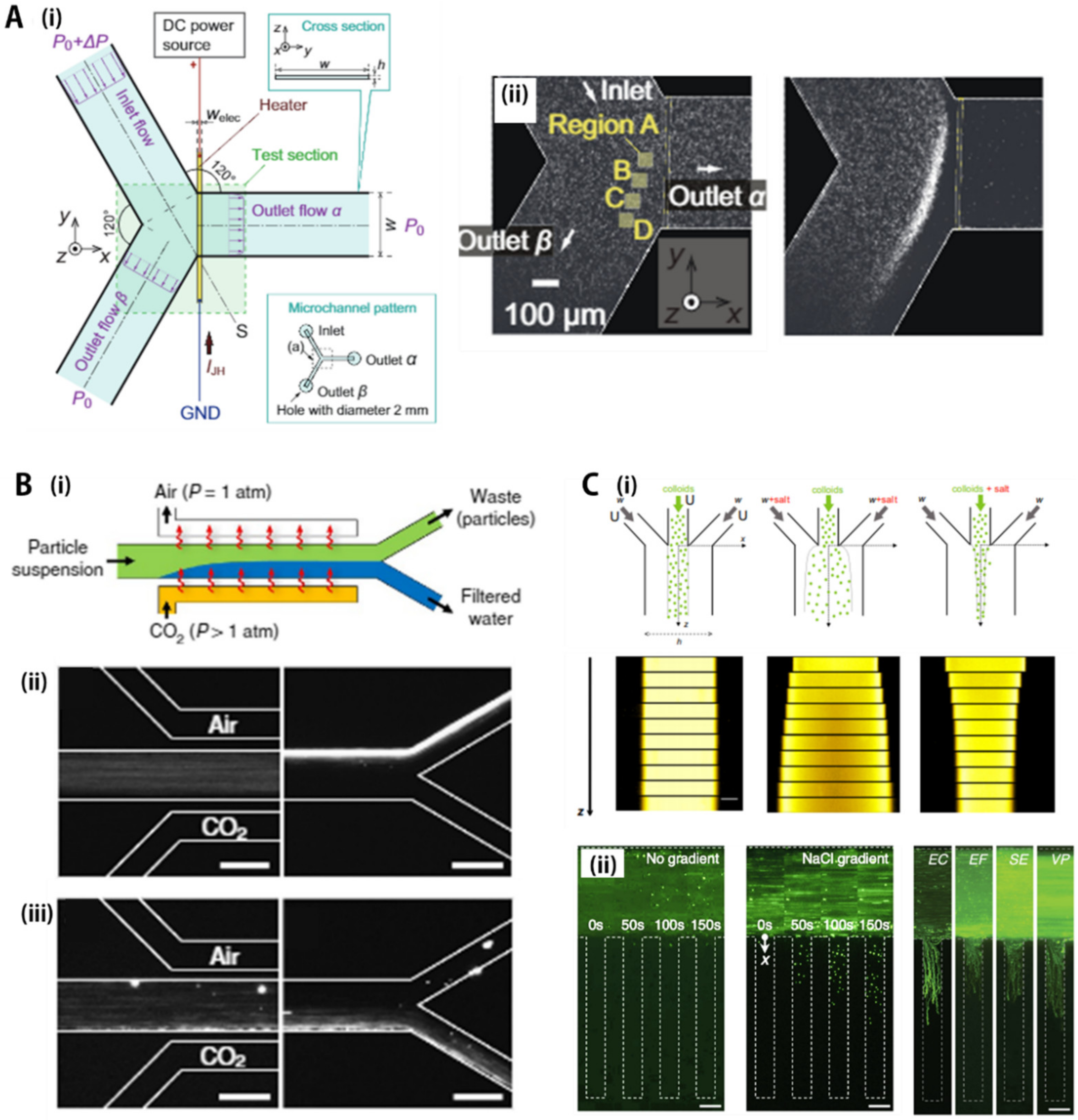 Biosensors 11 00464 g003 Biosensors 11 00464 g003