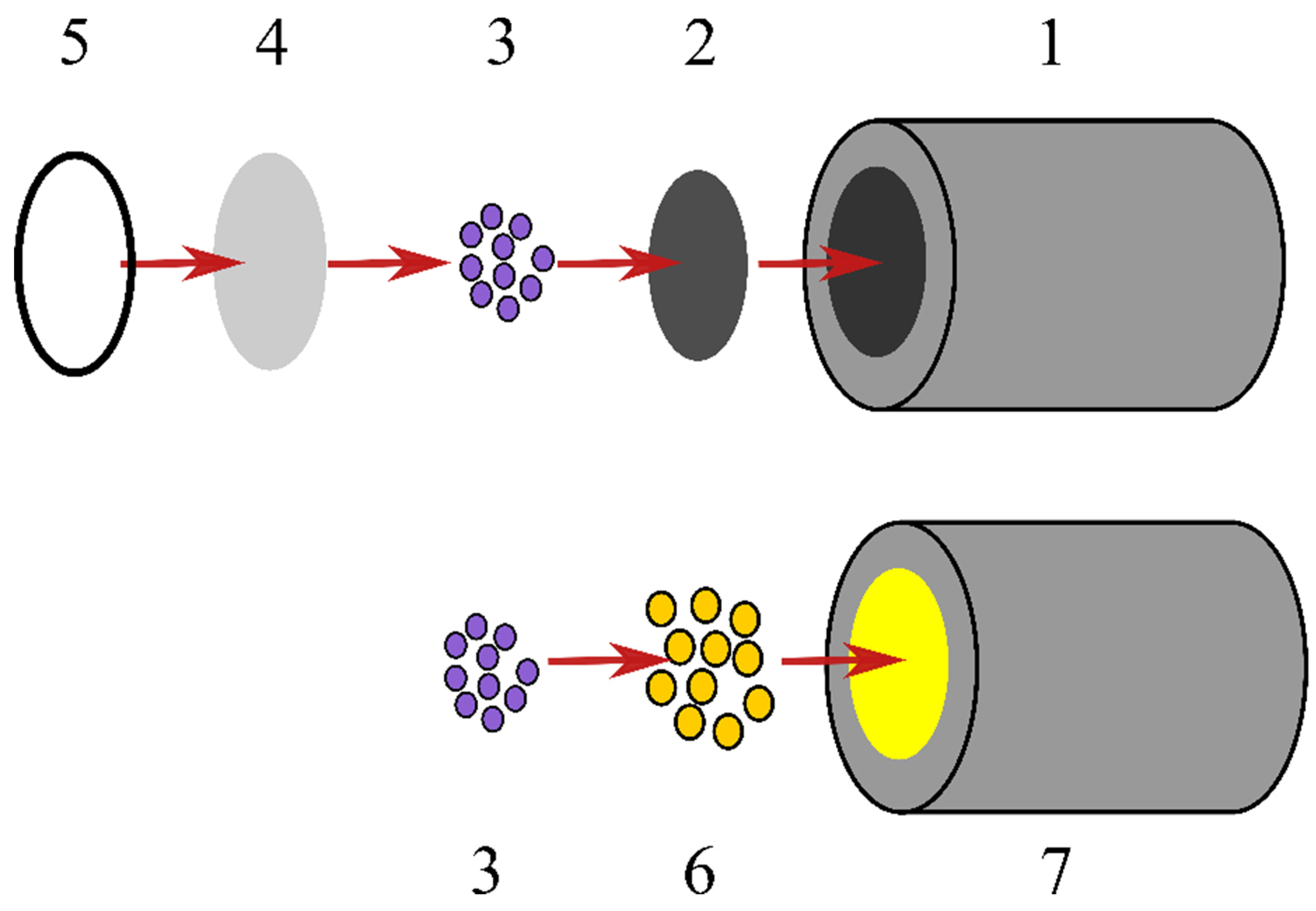 Biosensors 11 00466 g001