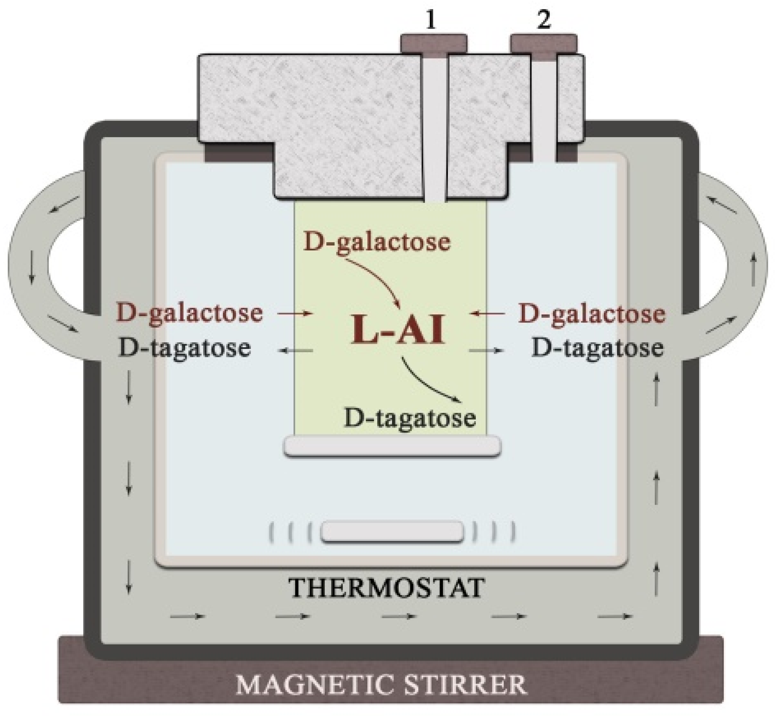 Biosensors 11 00466 g002