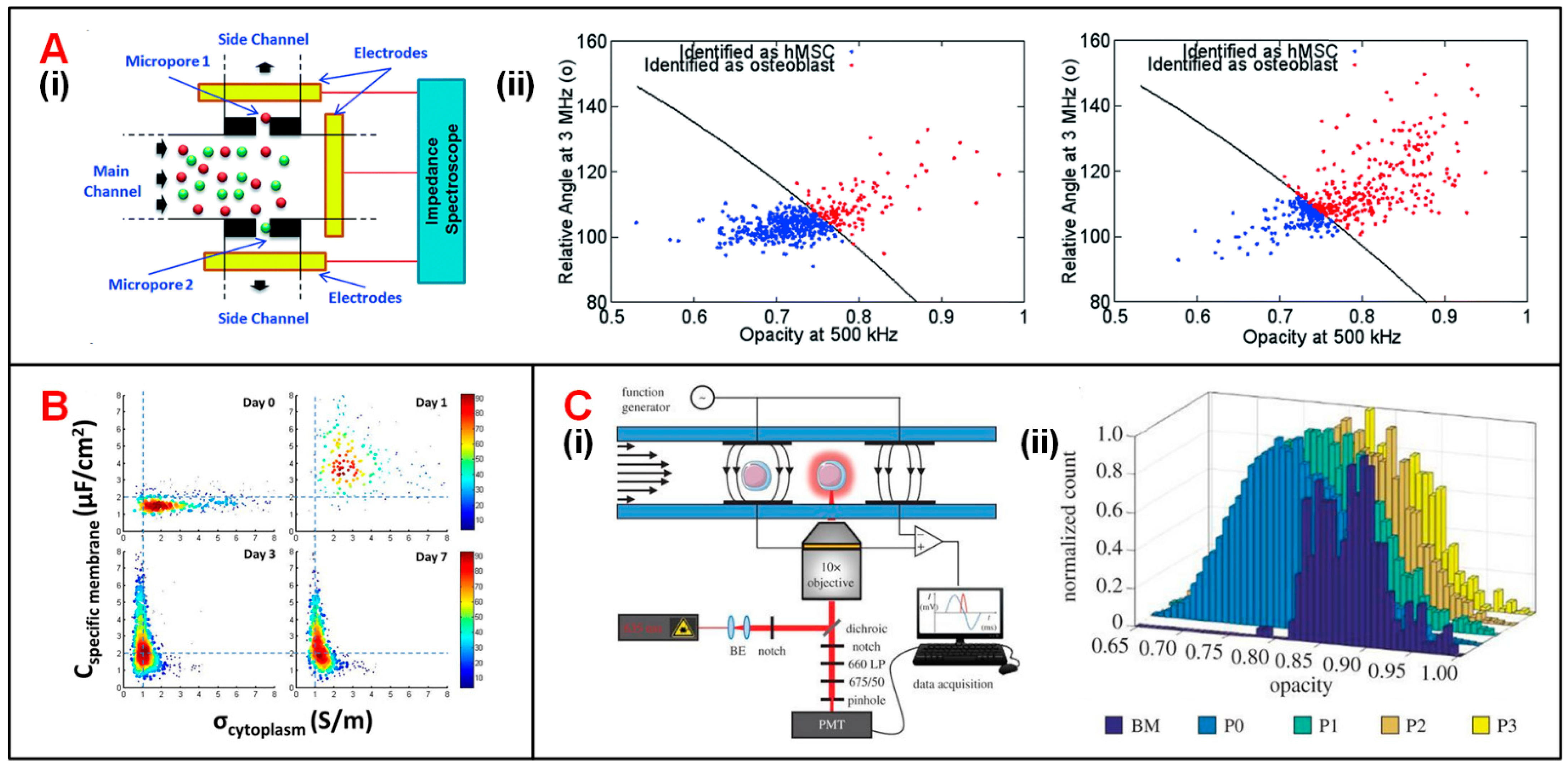 Biosensors 11 00470 g006