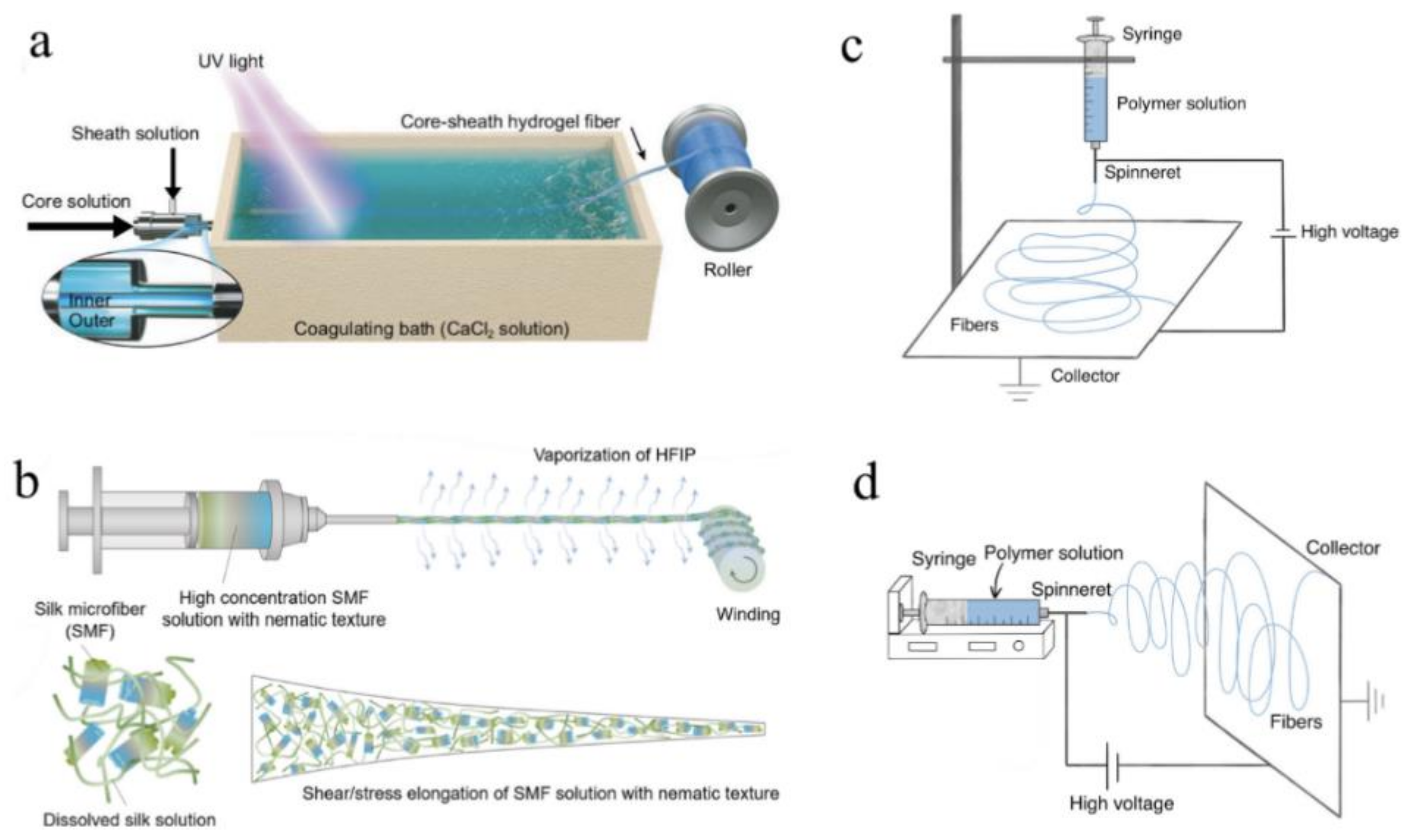Biosensors 11 00472 g006