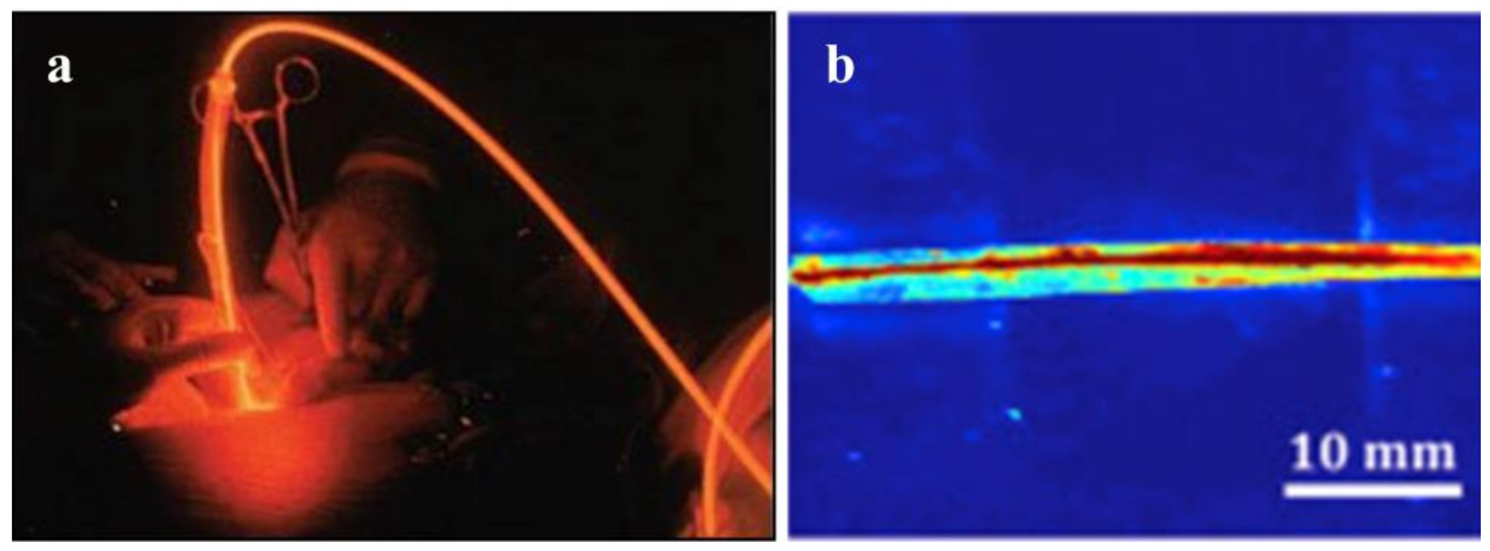 Biosensors 11 00472 g008