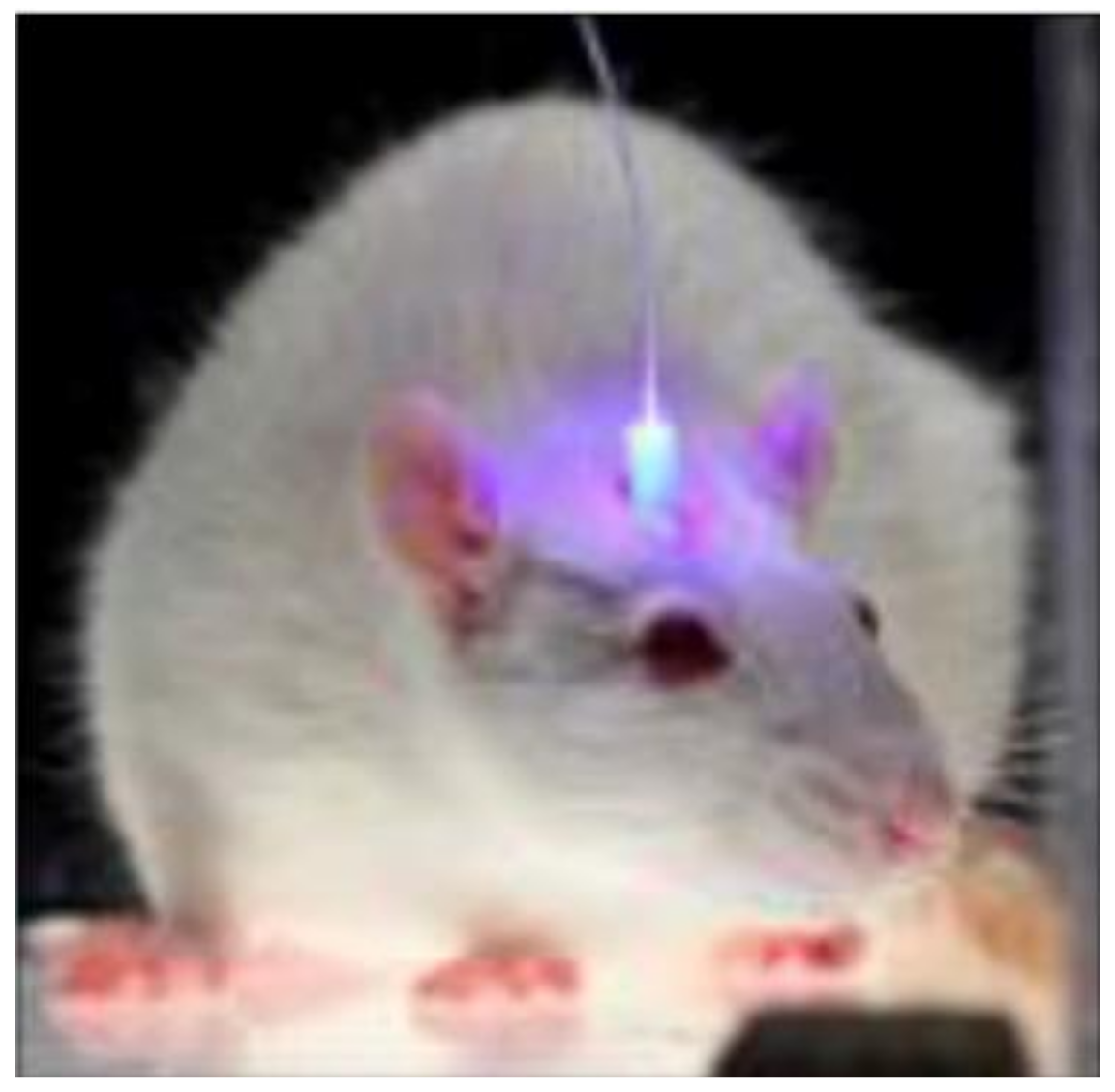 Biosensors 11 00472 g009