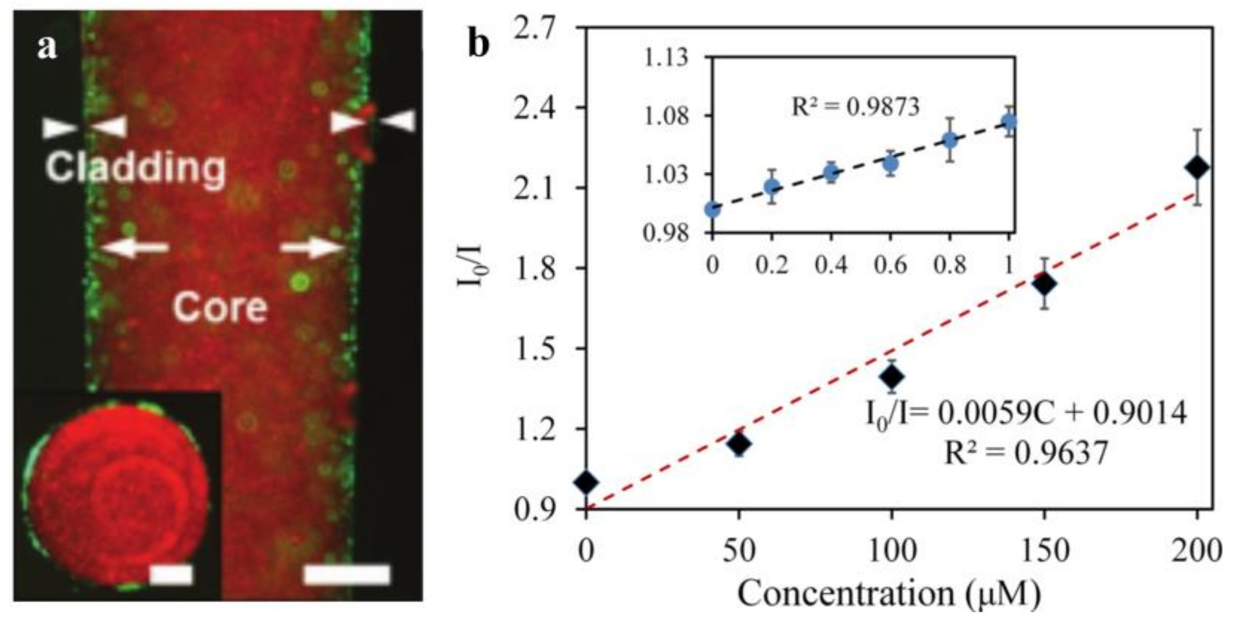 Biosensors 11 00472 g010