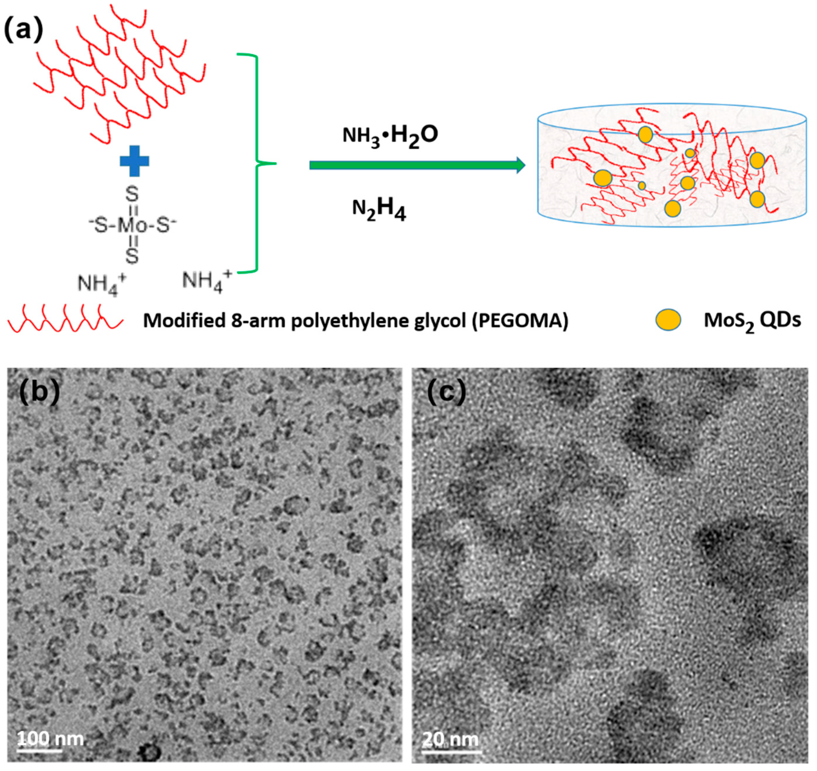 Biosensors 11 00475 g001 550