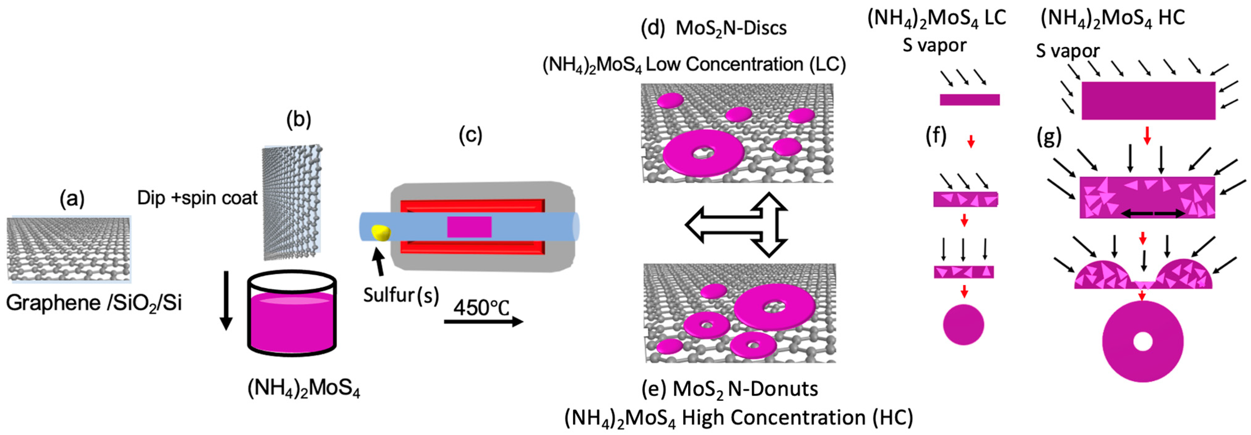 MoS2 Nanodonuts for High-Sensitivity Surface-Enhanced Raman