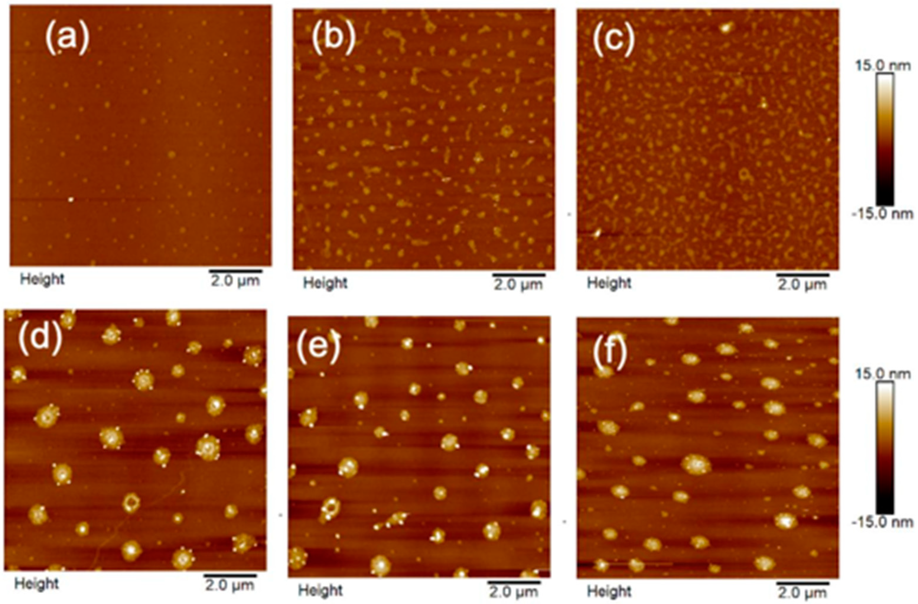 Biosensors 11 00477 g003