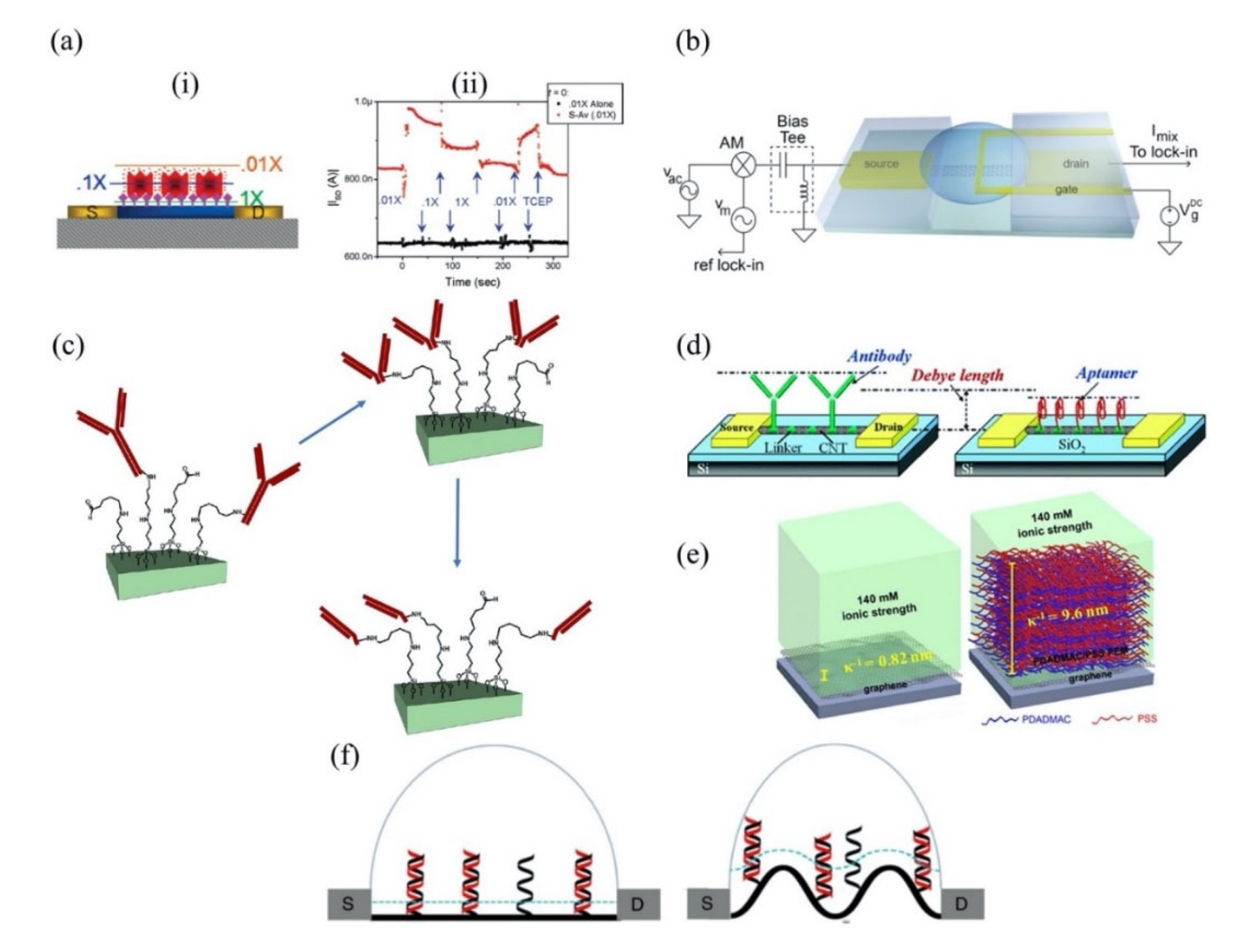 Biosensors 11 00478 g003