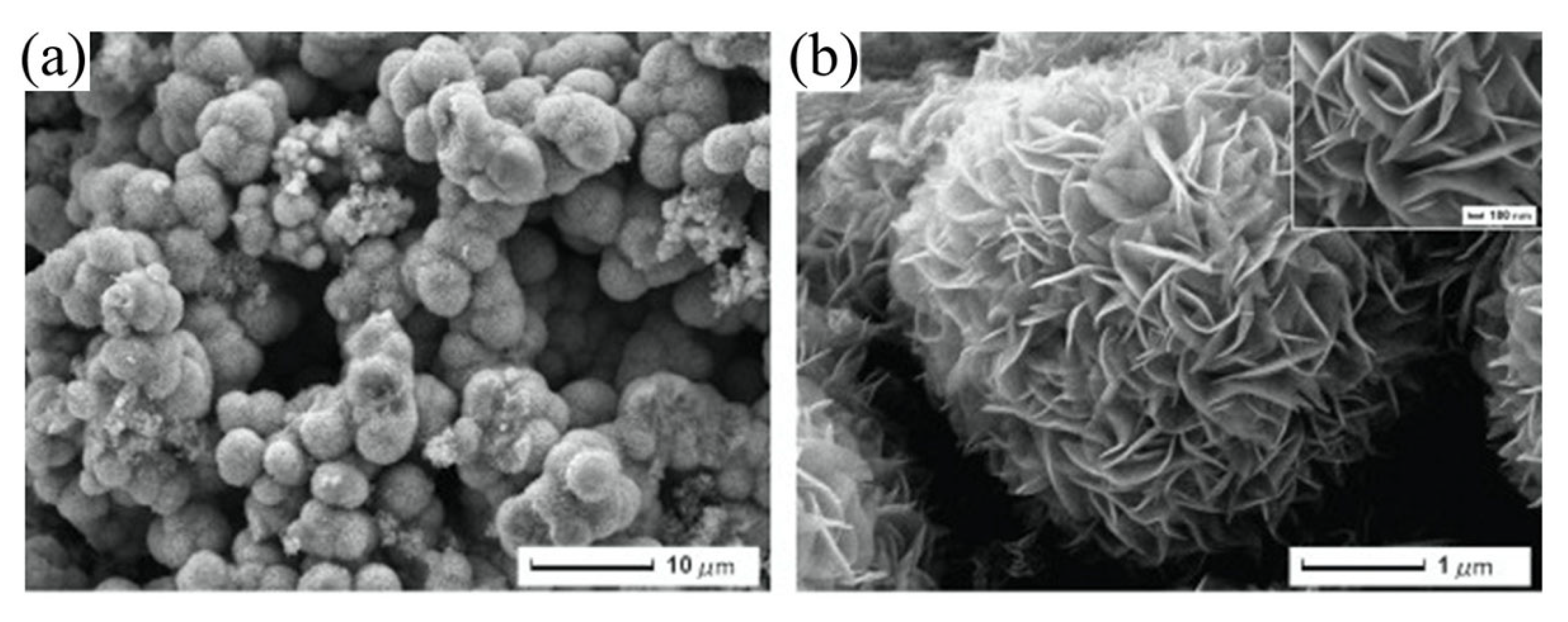 Biosensors 11 00478 g013