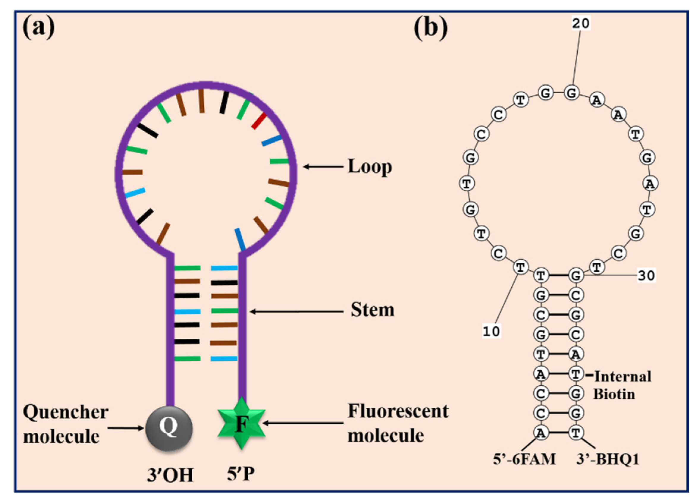Biosensors 11 00479 sch002 550