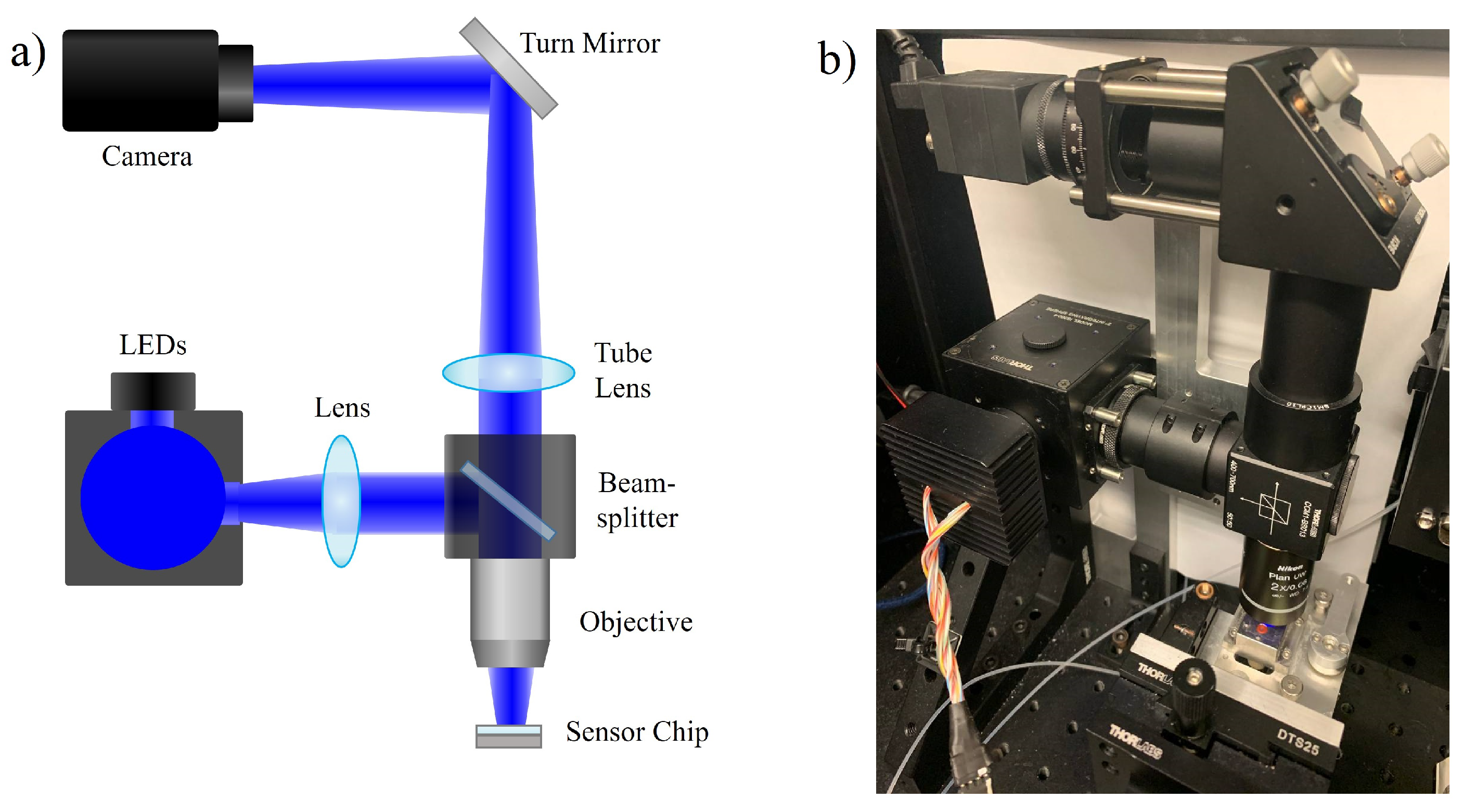 Biosensors 11 00483 g001
