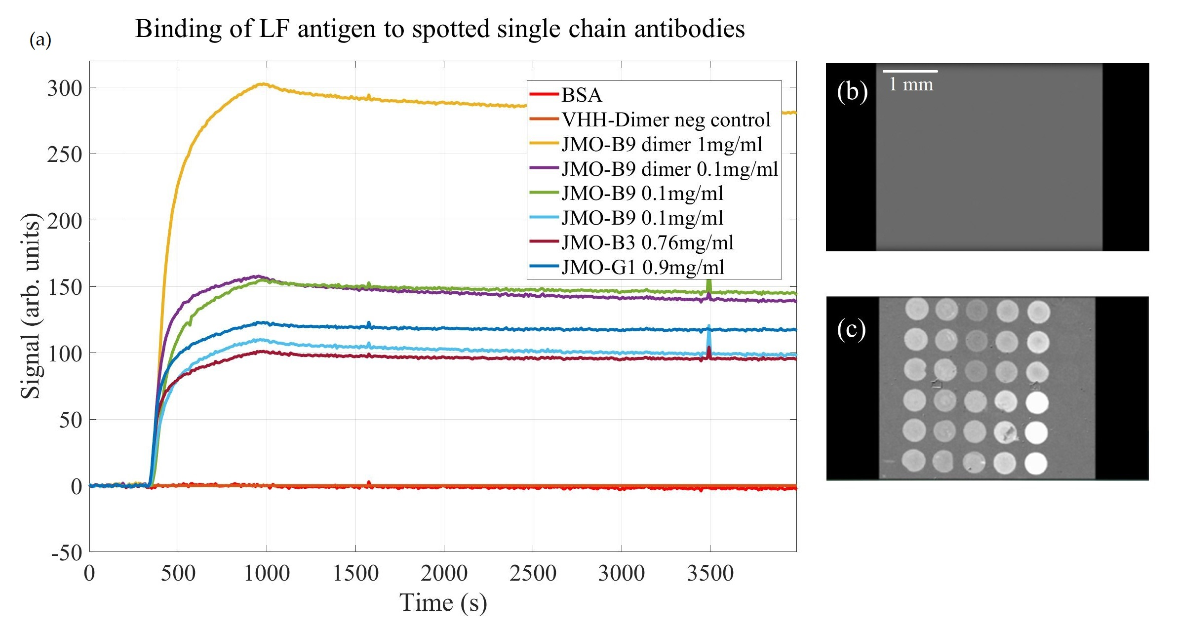 Biosensors 11 00483 g002