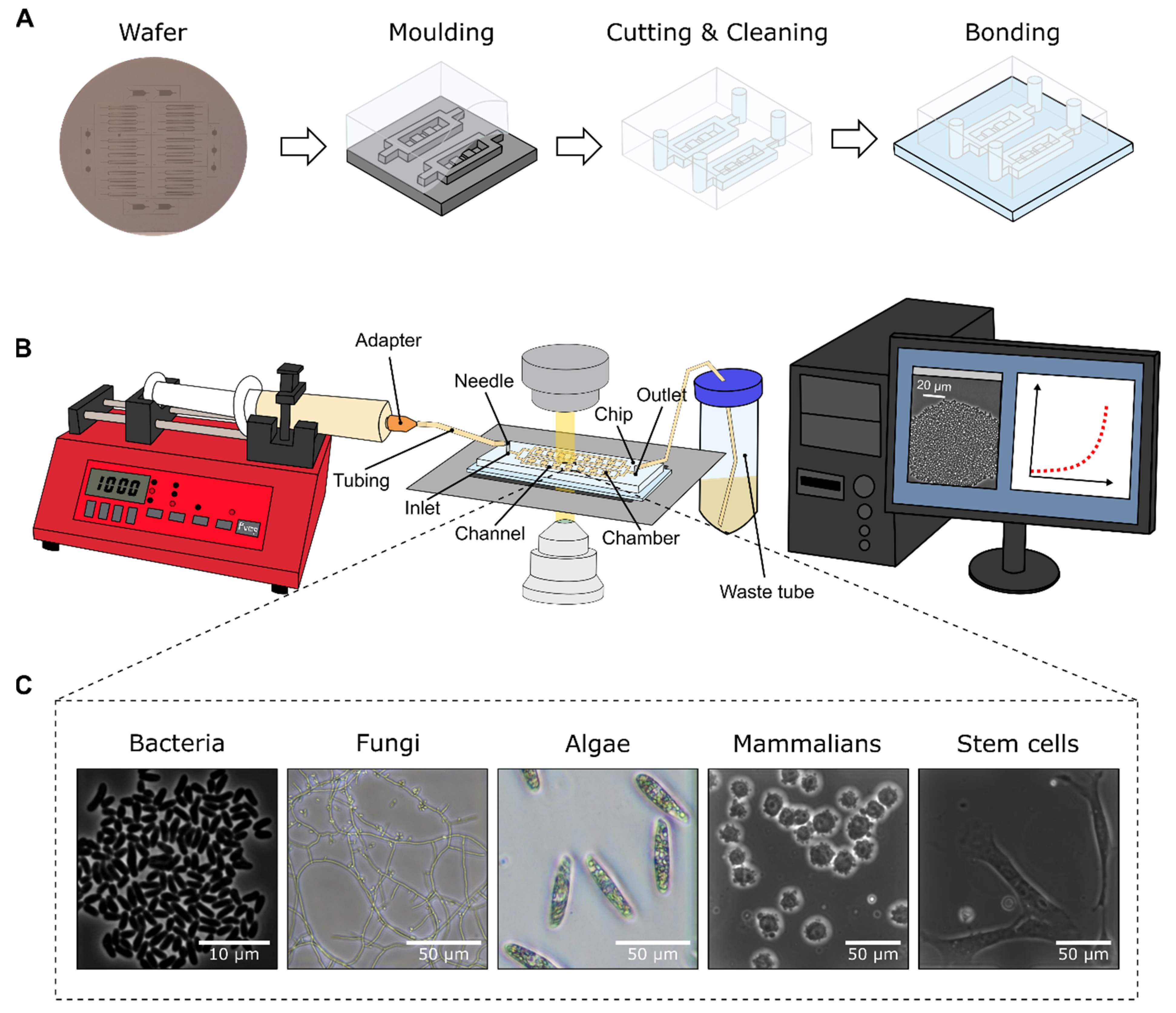 Biosensors 11 00485 g001