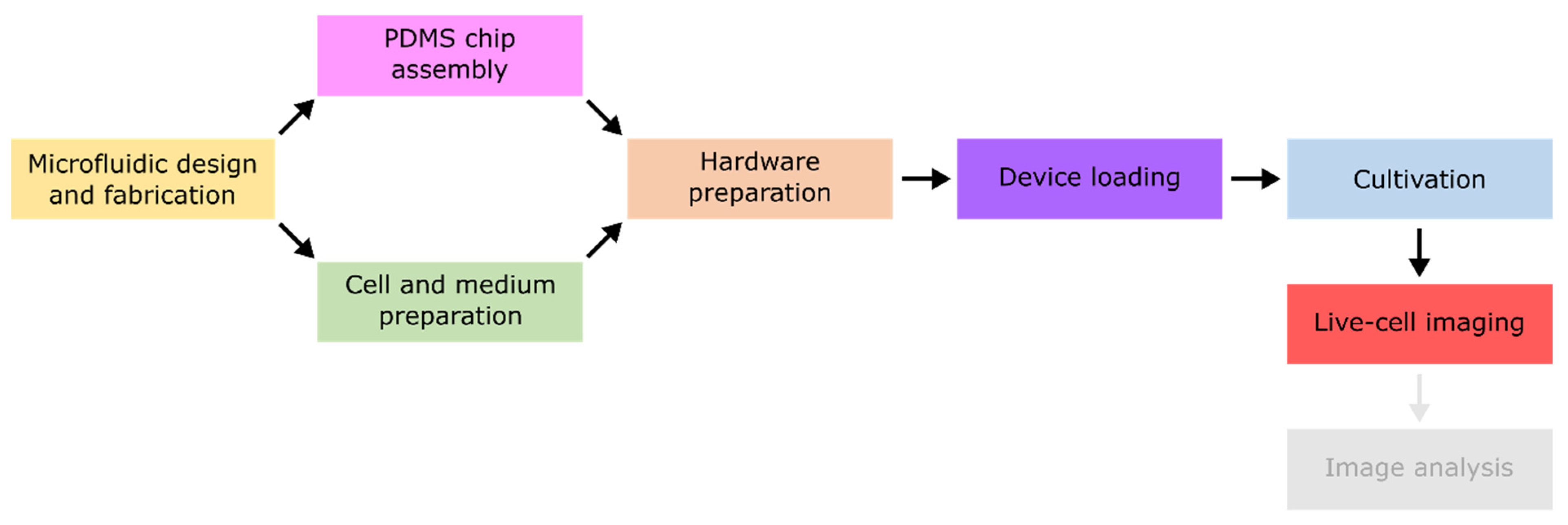 Biosensors 11 00485 g002
