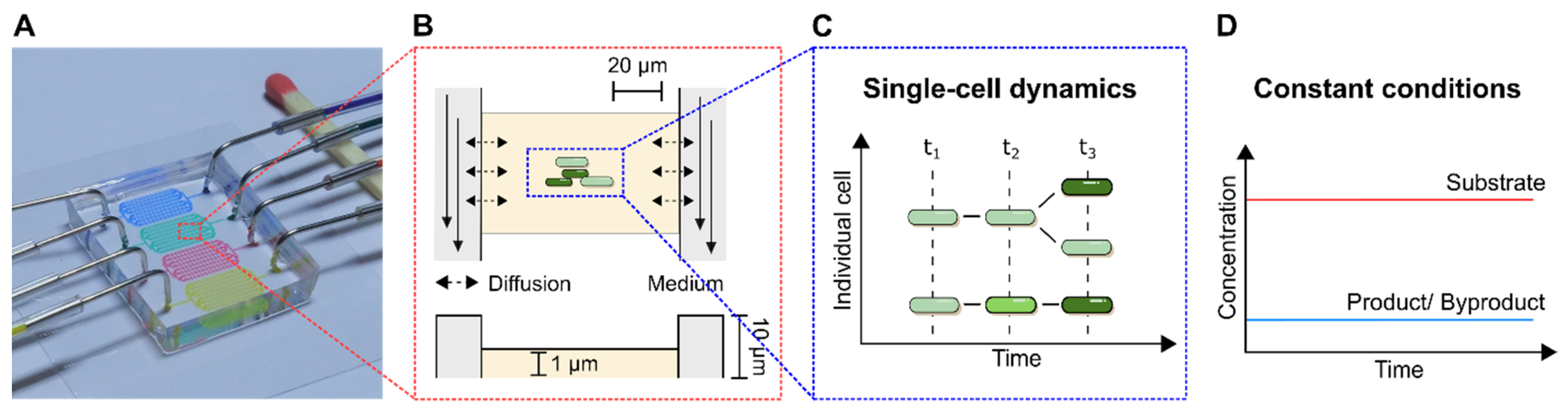 Biosensors 11 00485 g004