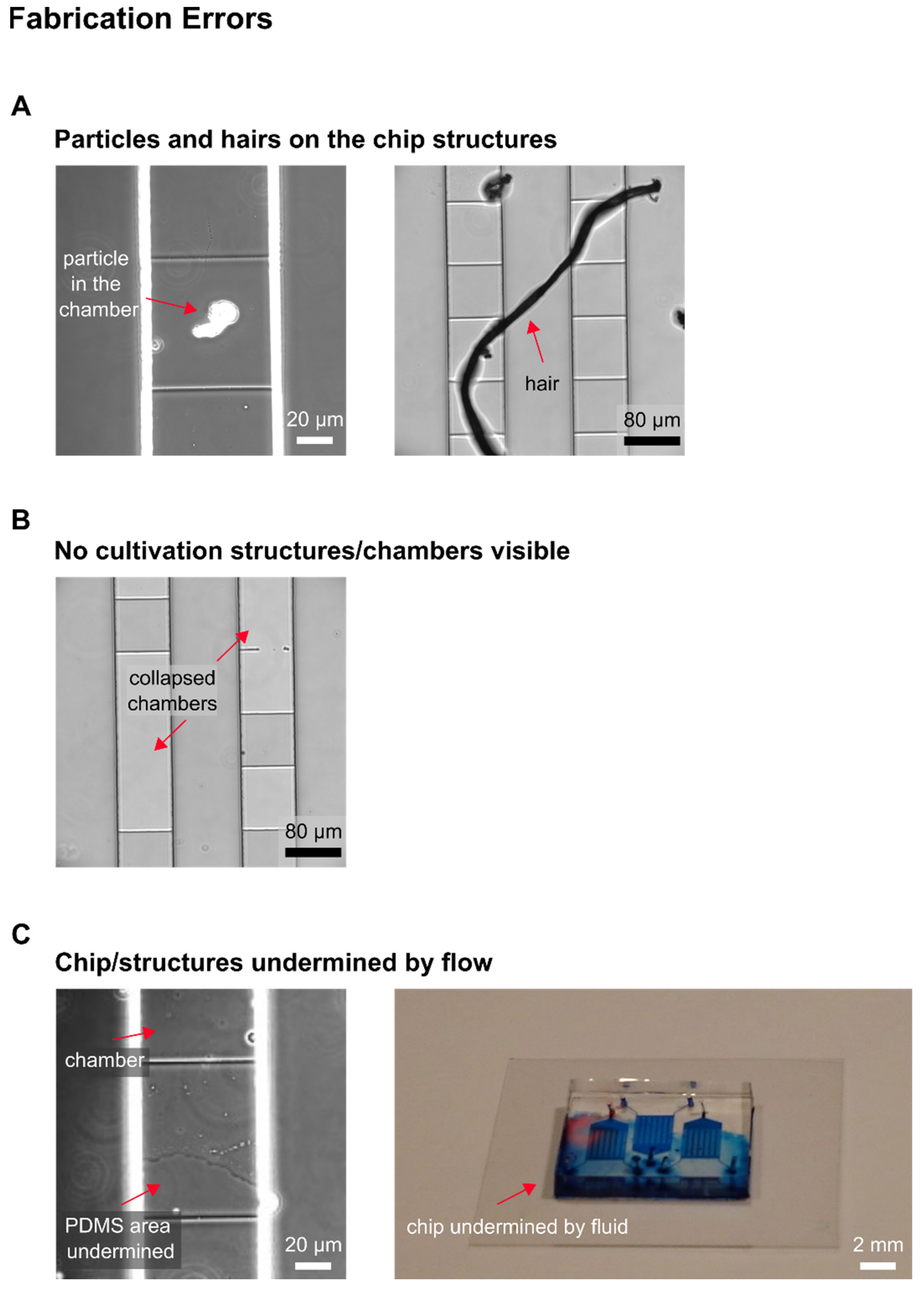 Biosensors 11 00485 g0a1