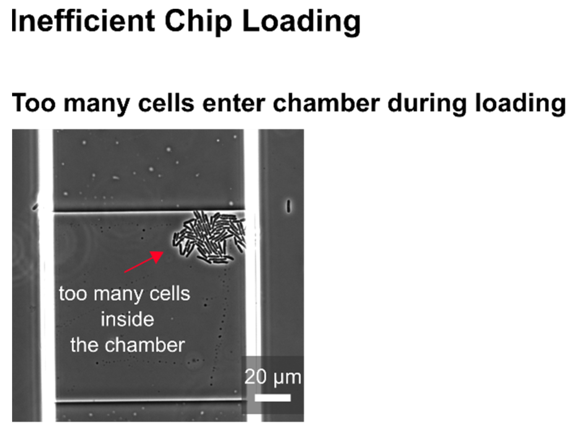 Biosensors 11 00485 g0a2