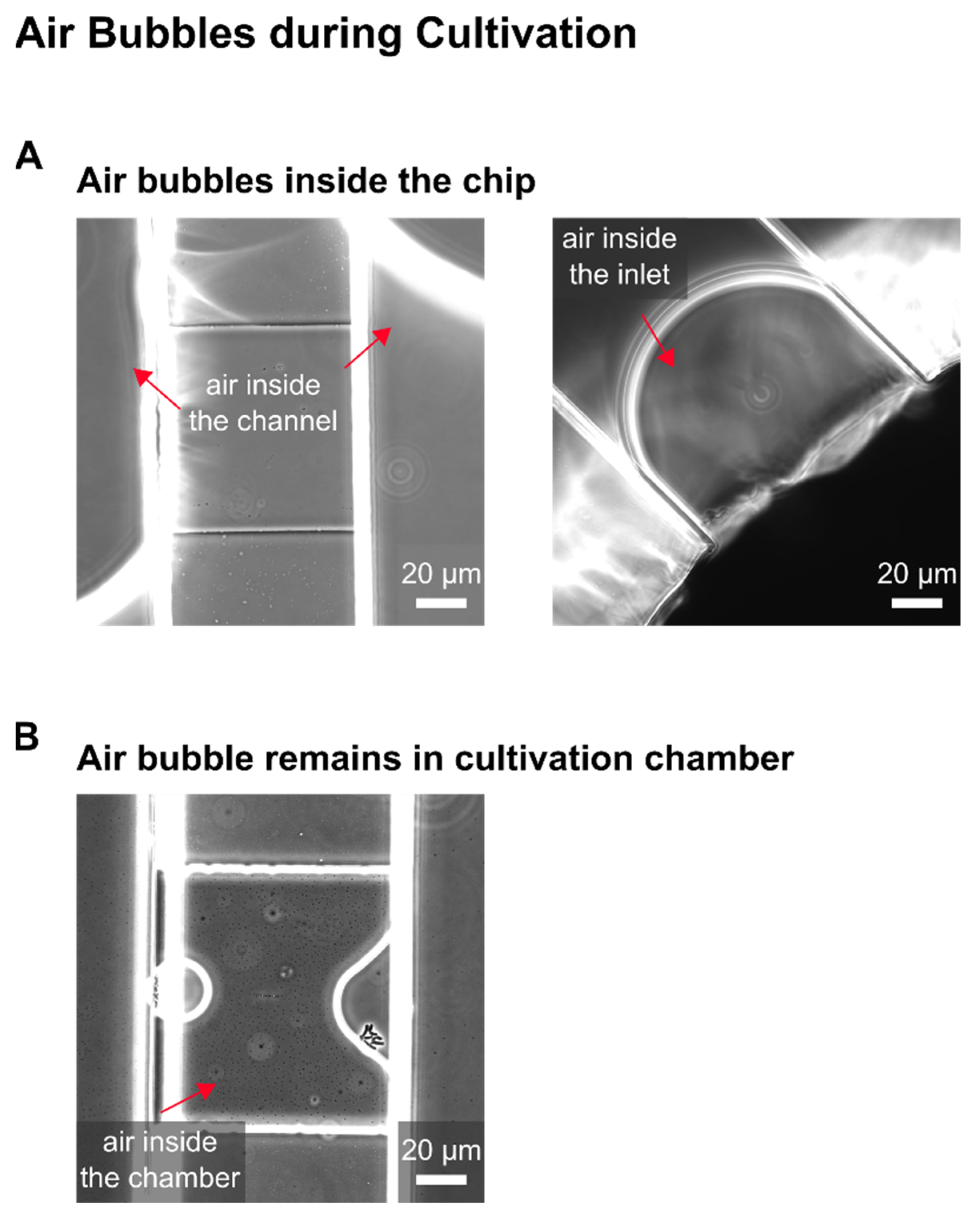 Biosensors 11 00485 g0a4