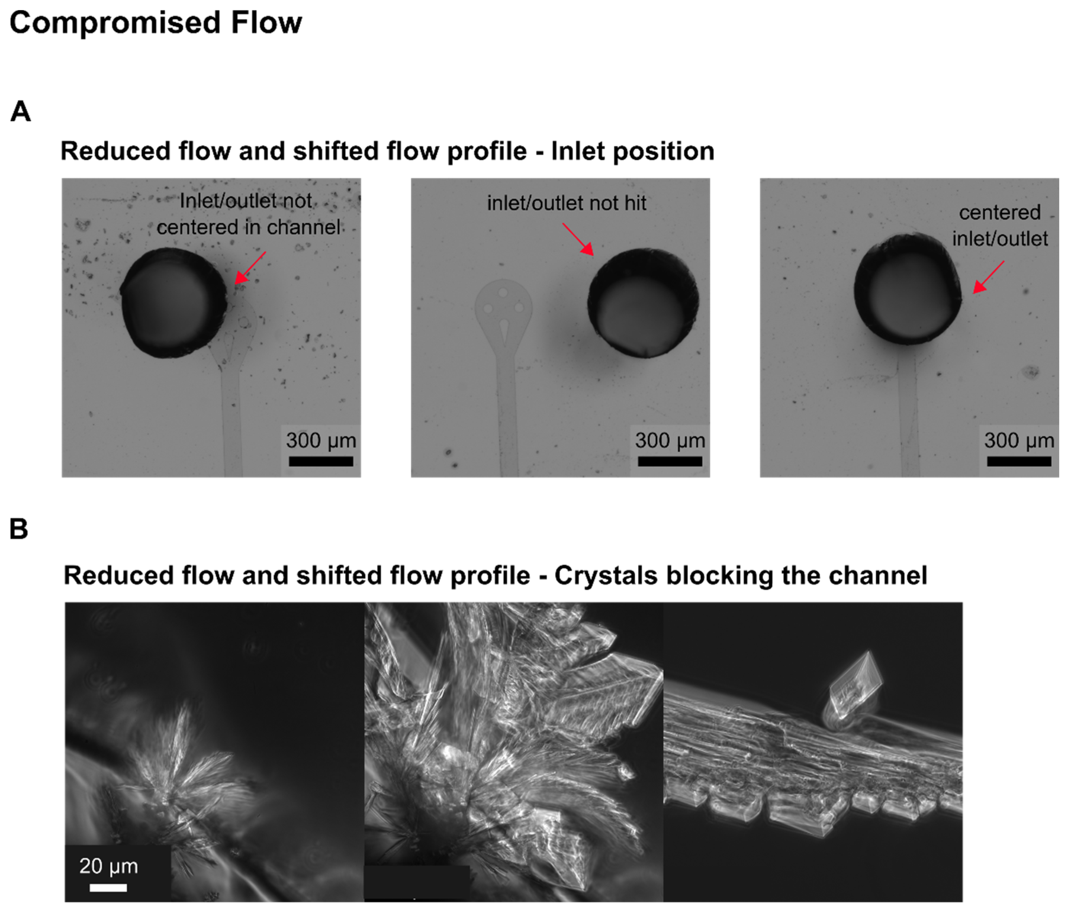 Biosensors 11 00485 g0a5