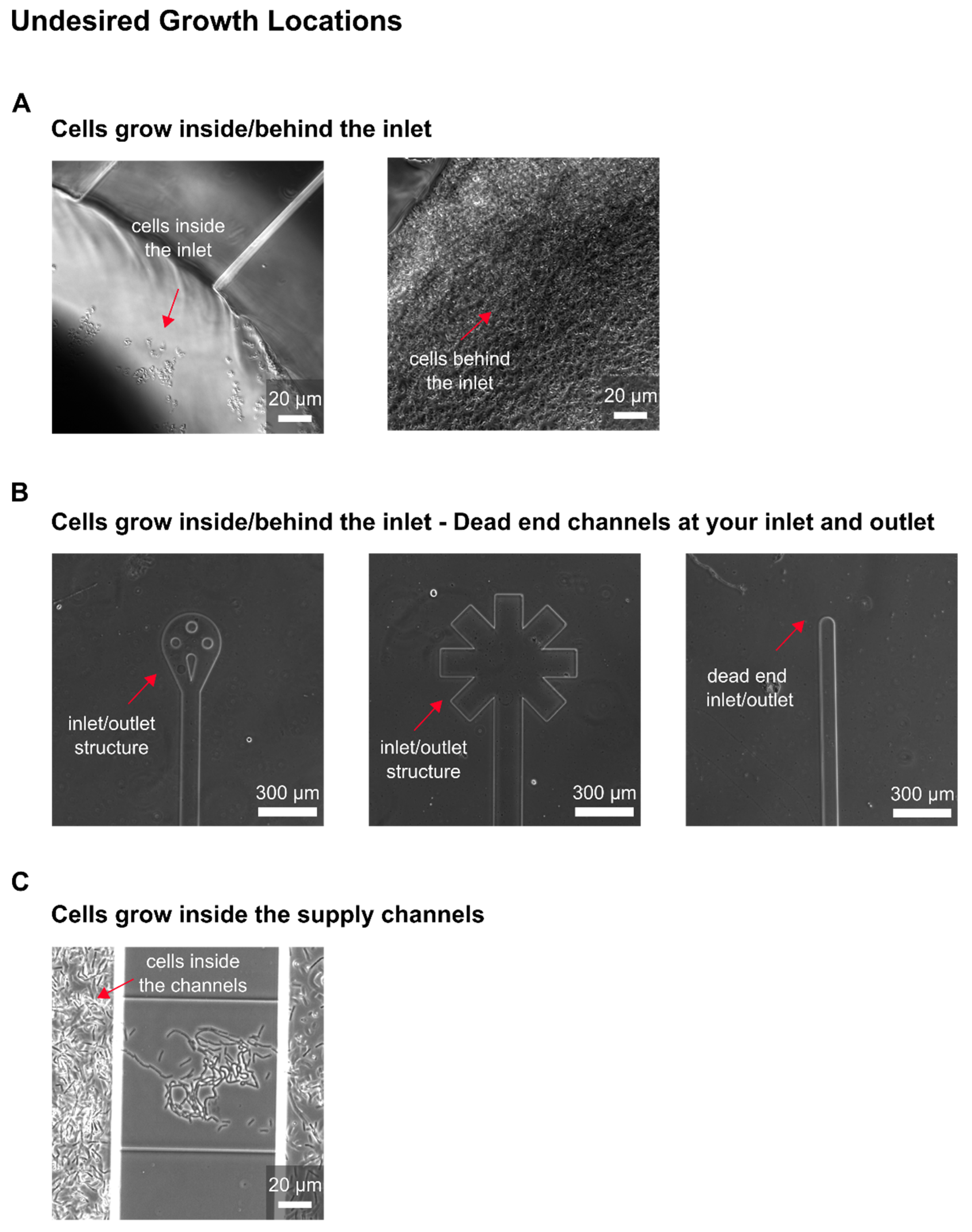 Biosensors 11 00485 g0a6