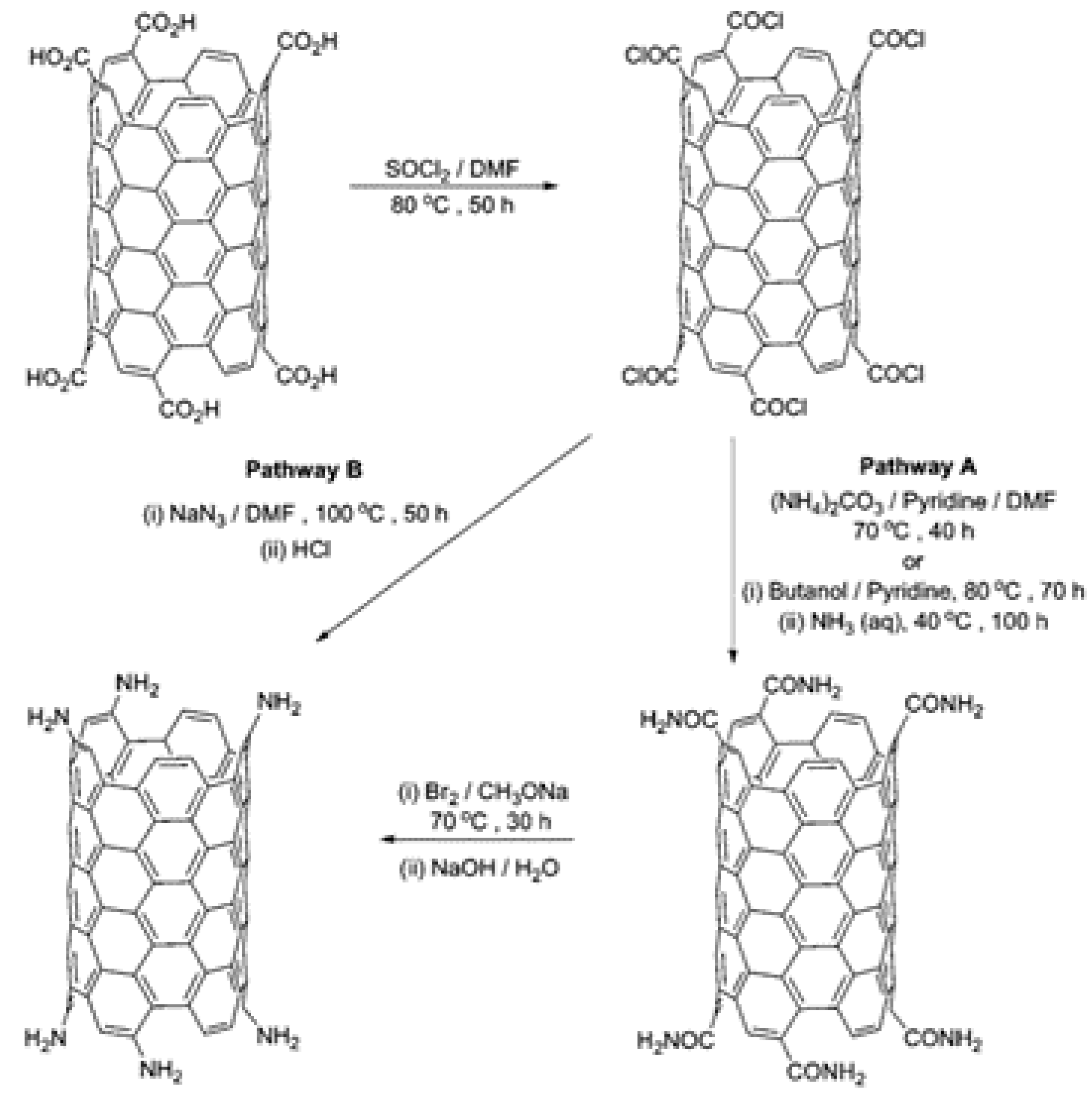 Biosensors 11 00486 g003 Biosensors 11 00486 g003