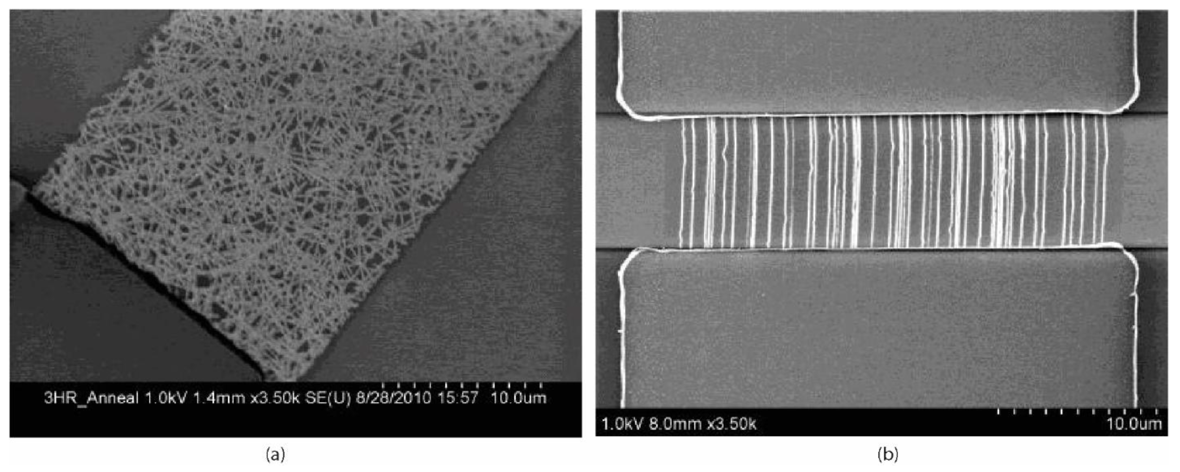 Biosensors 11 00486 g007 Biosensors 11 00486 g007
