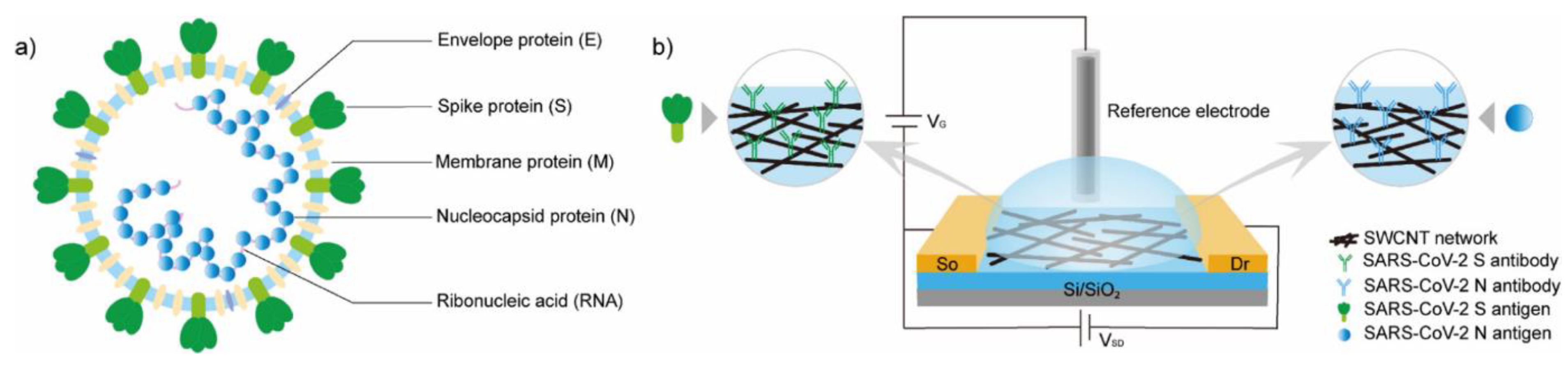 Biosensors 11 00486 g008 Biosensors 11 00486 g008