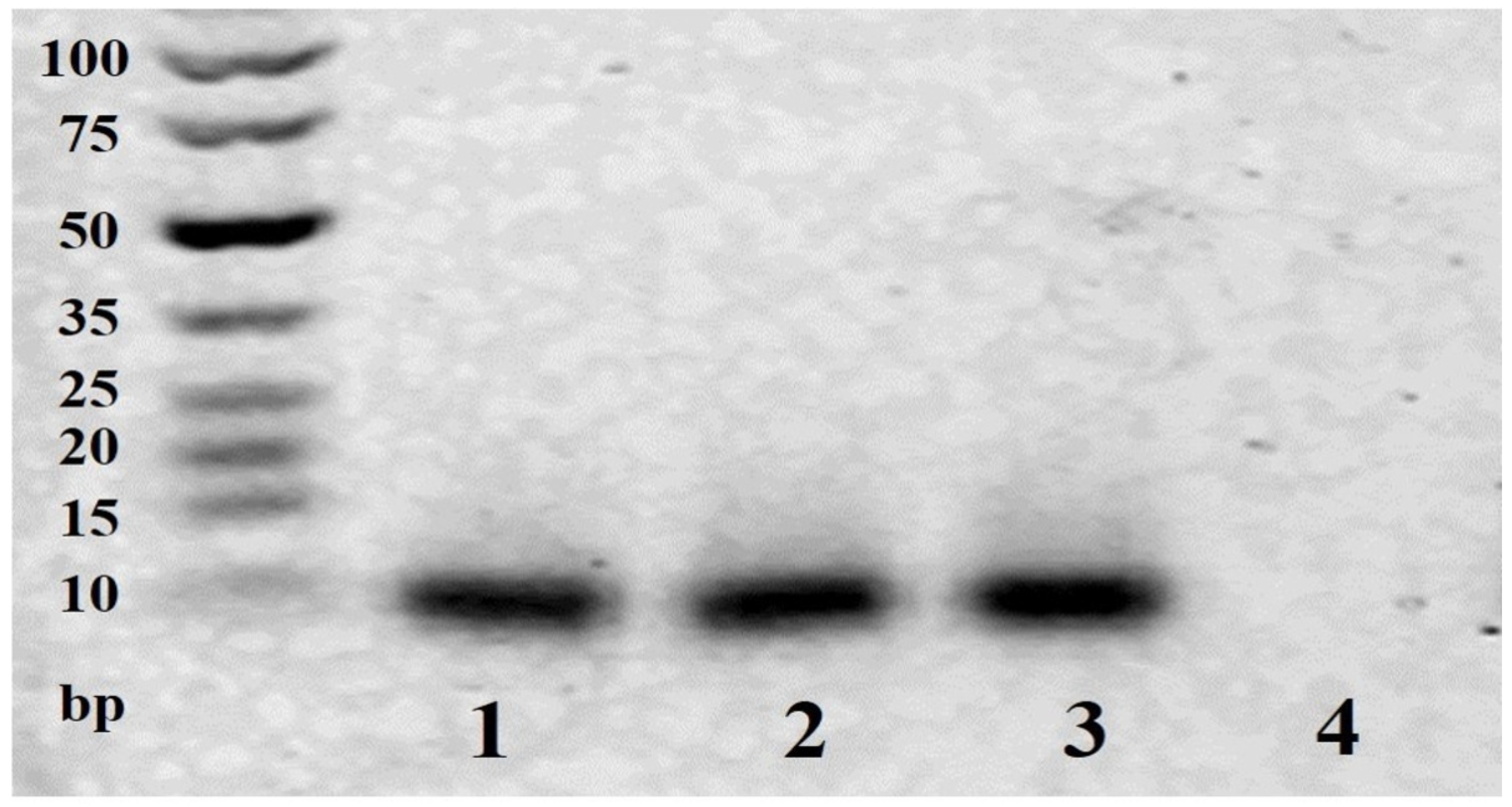 Biosensors 11 00487 g002 550