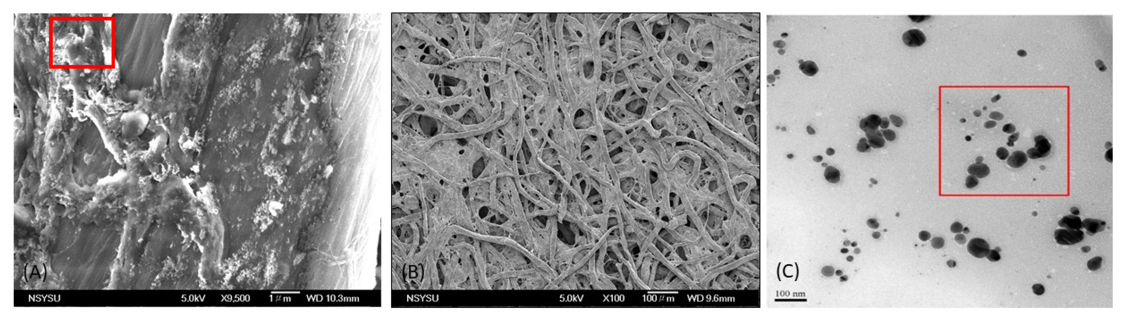 Biosensors 11 00491 g001