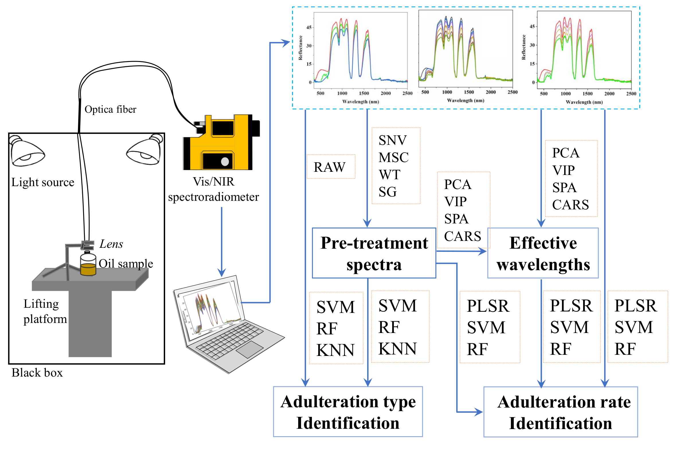 Biosensors 11 00492 g001