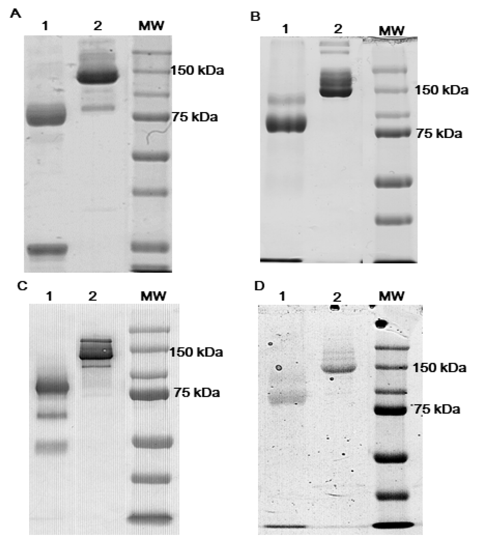 Biosensors 11 00493 g001