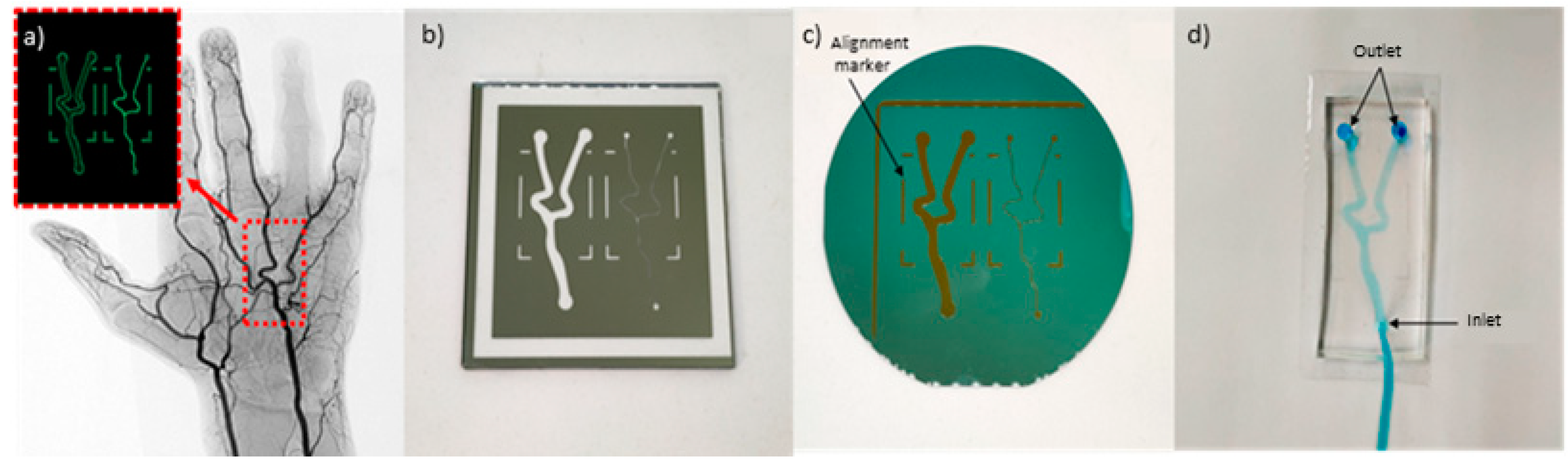 Biosensors 11 00494 g002
