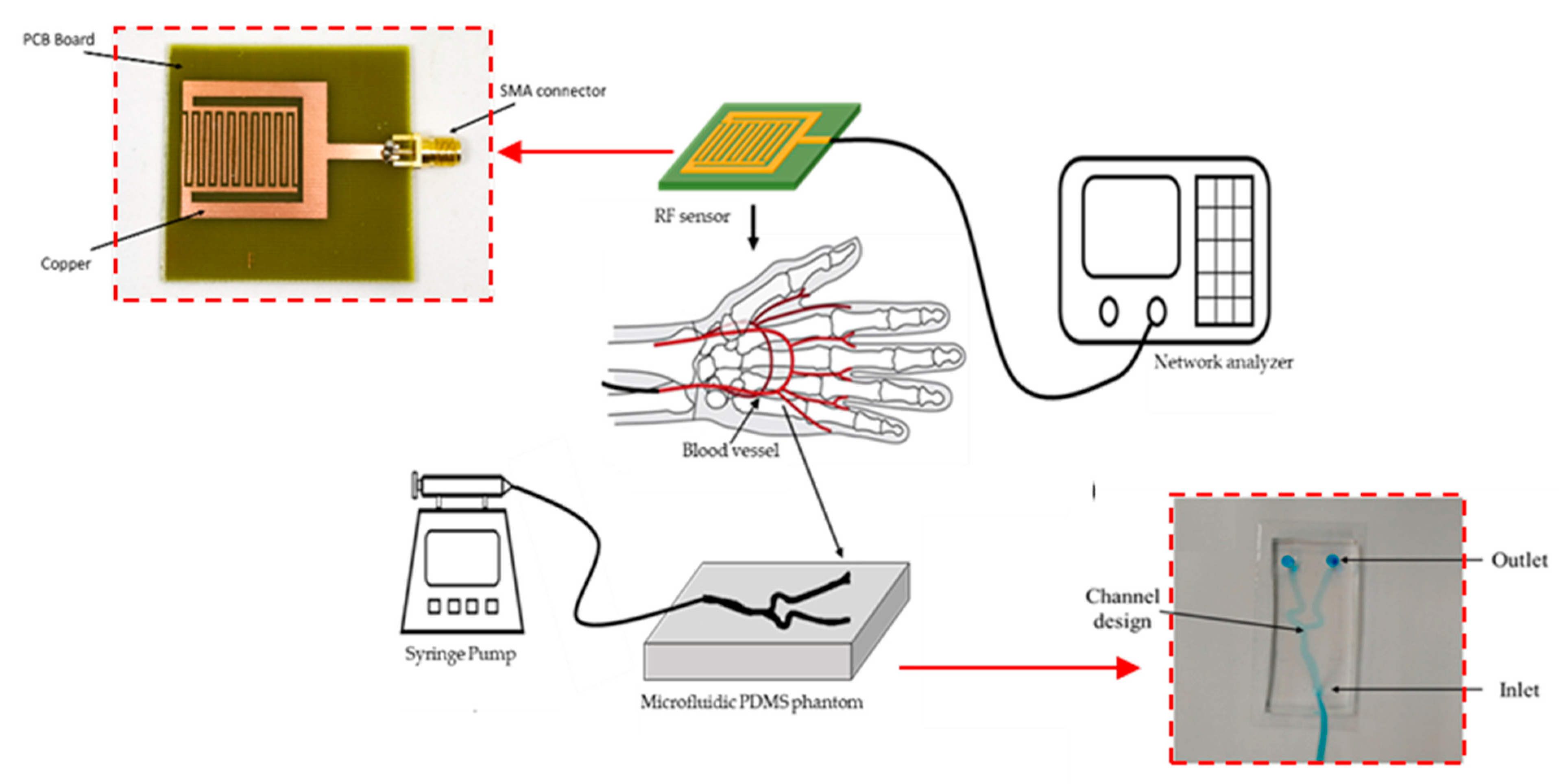 Biosensors 11 00494 g005