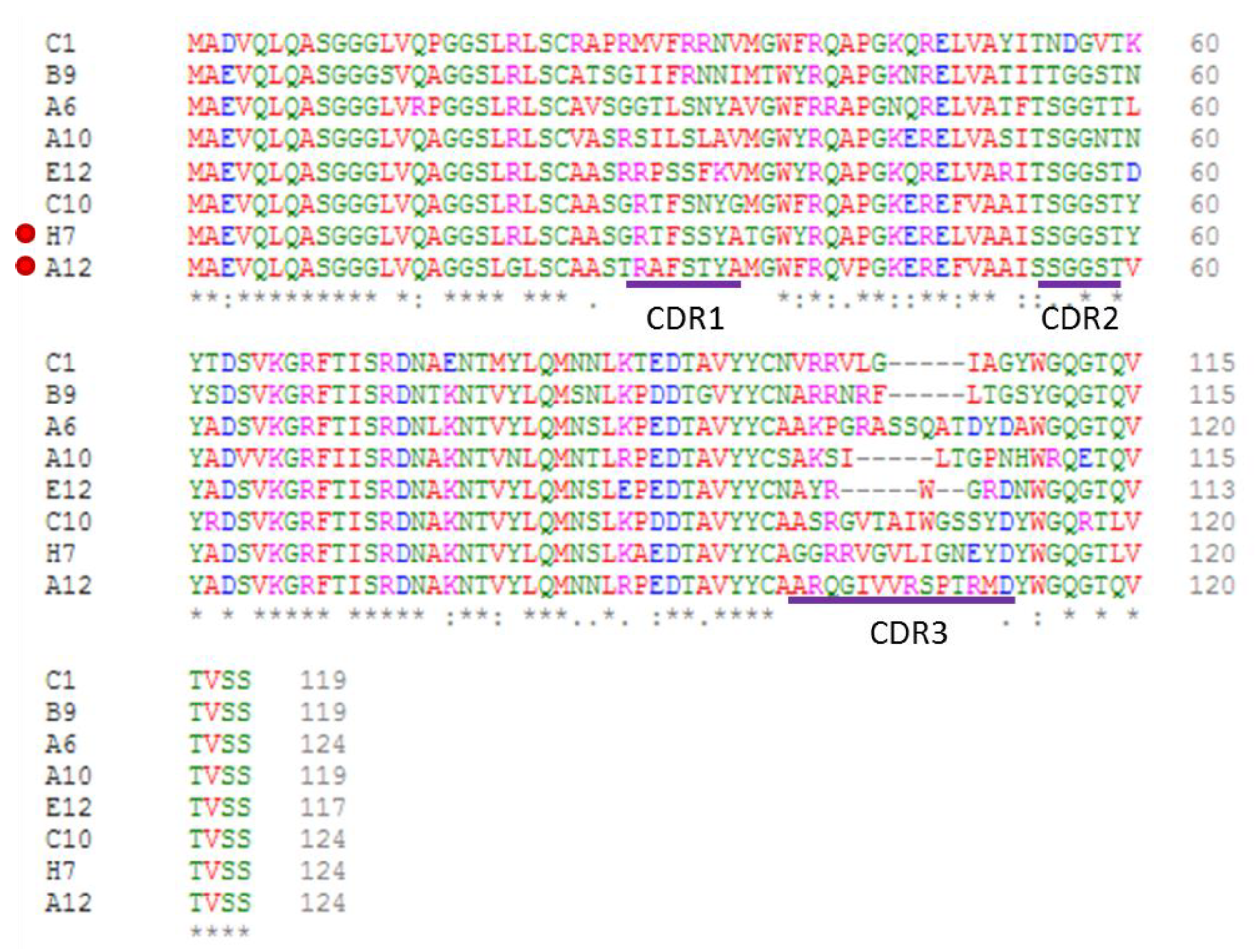Biosensors 11 00496 g001 Biosensors 11 00496 g001