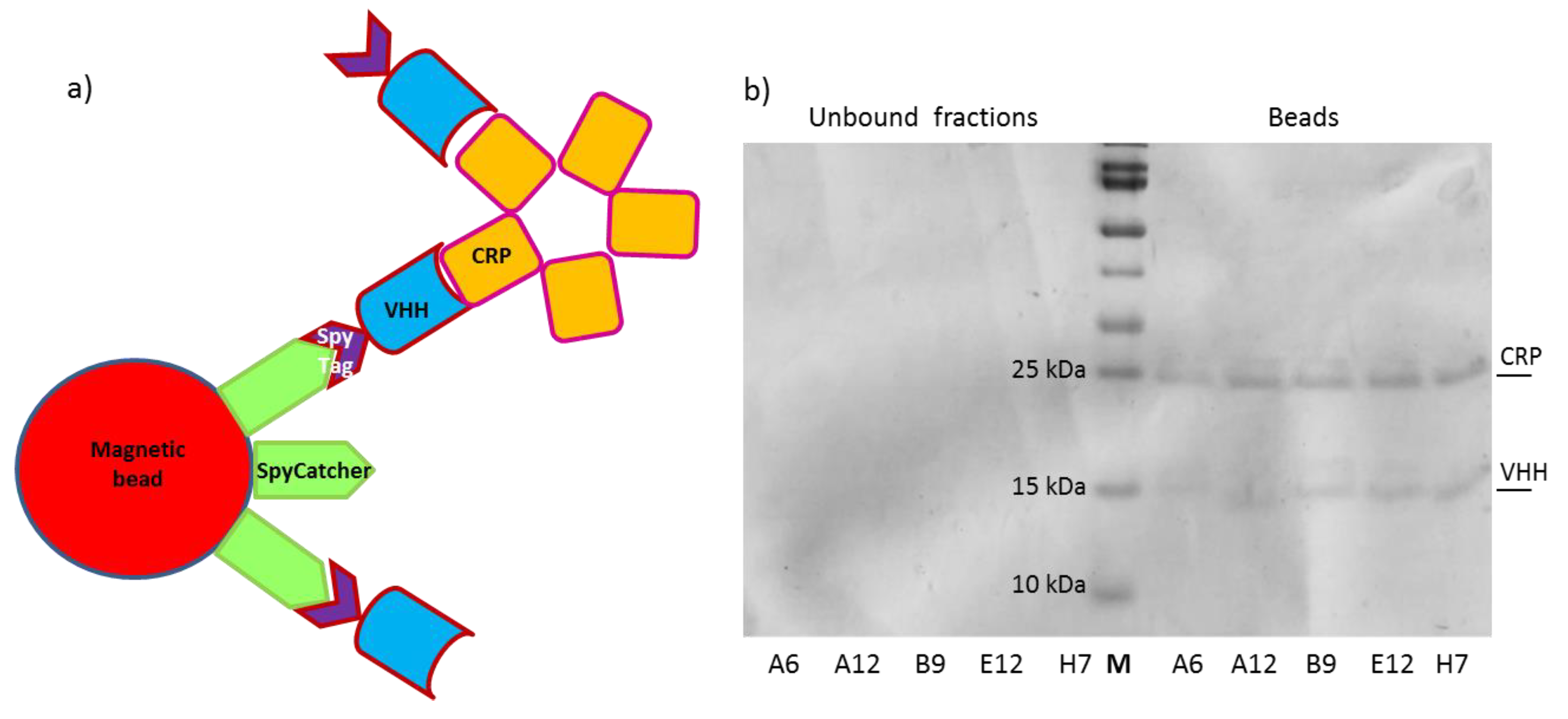 Biosensors 11 00496 g003 Biosensors 11 00496 g003
