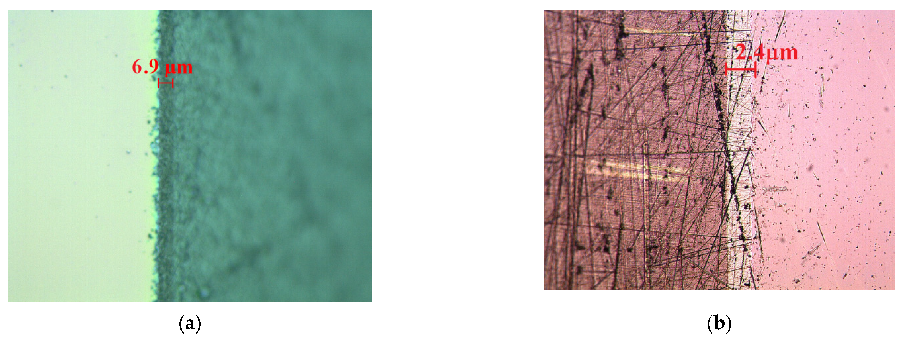 Biosensors 11 00497 g004