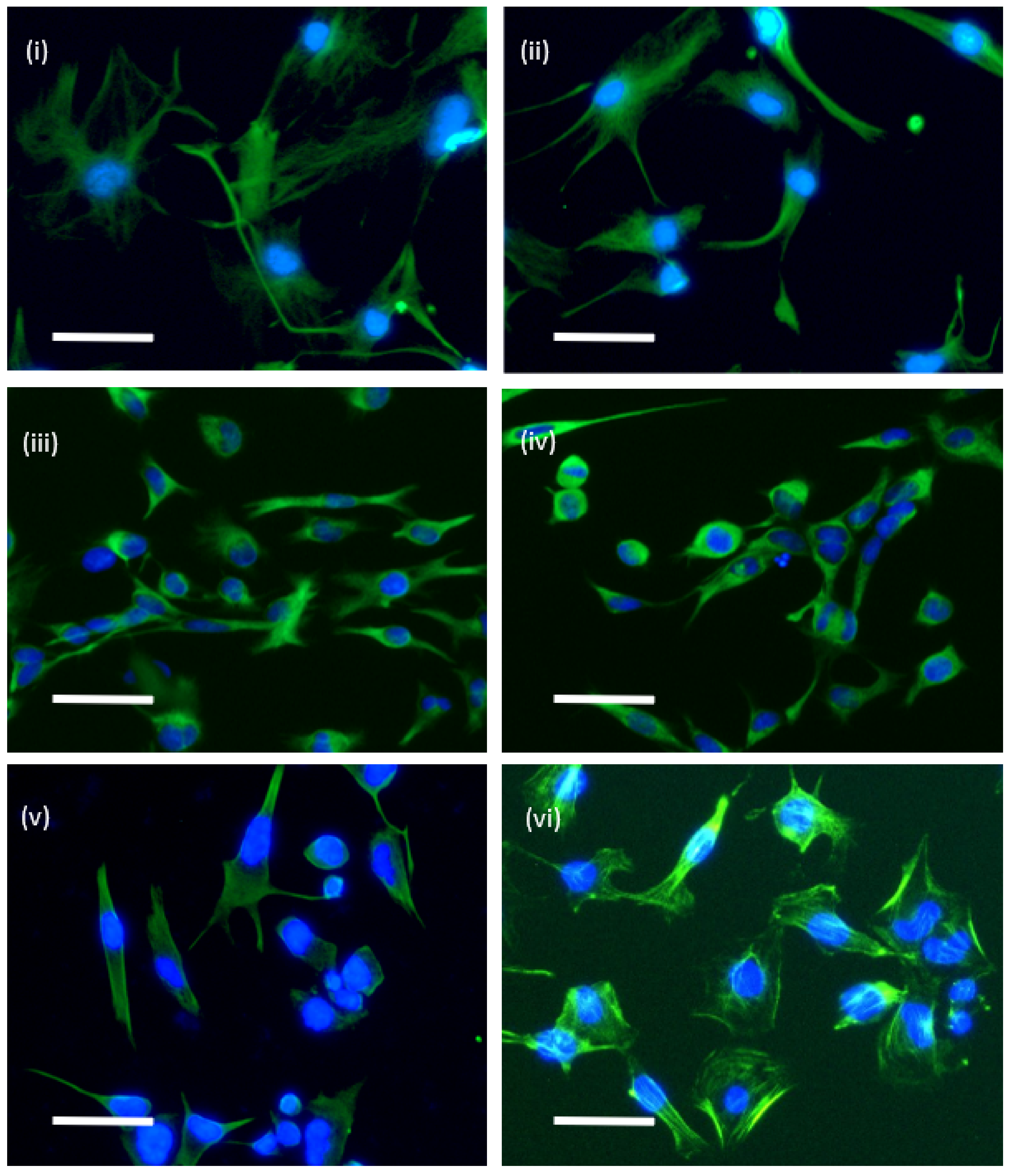 Biosensors 11 00498 g002 550