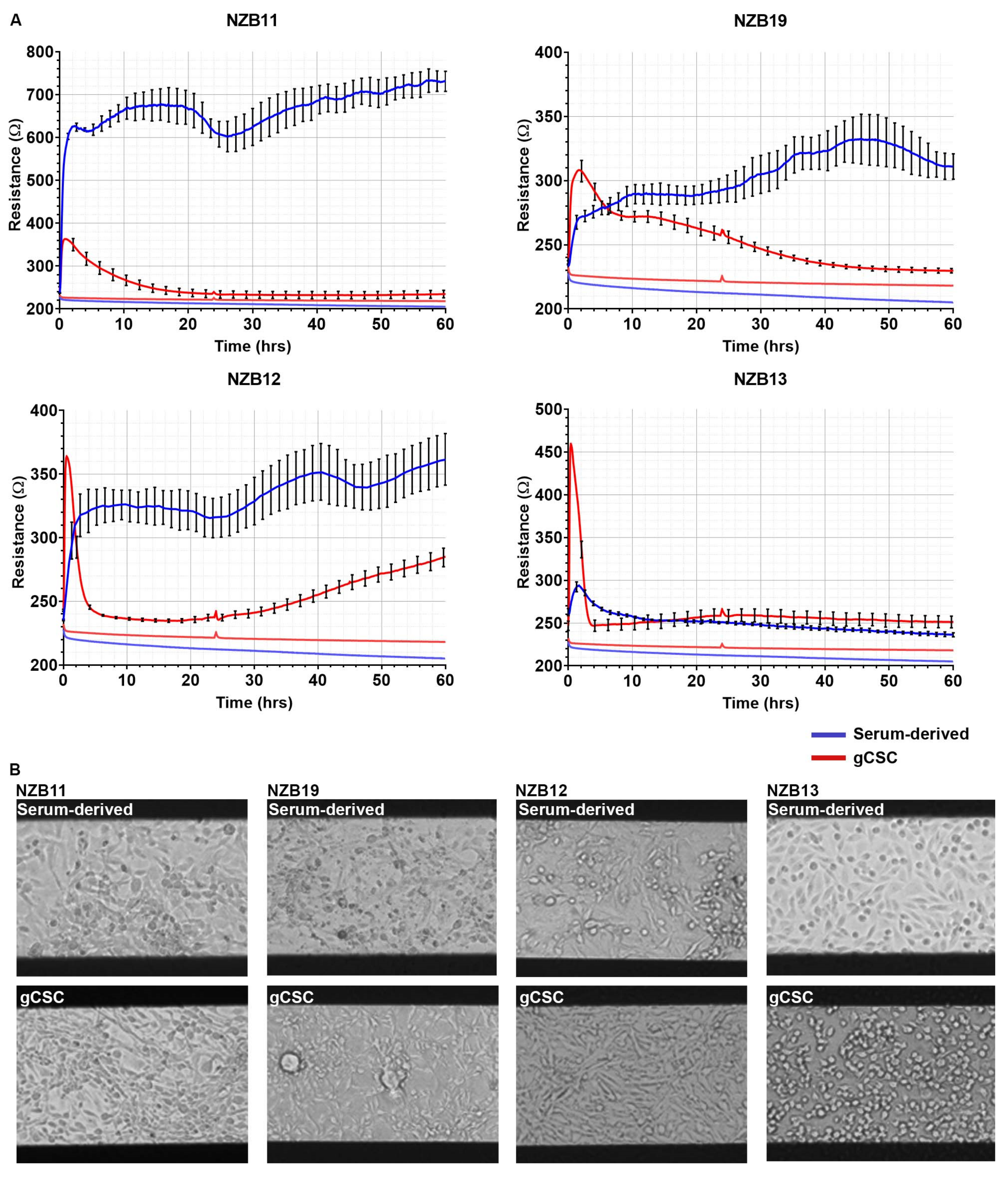 Biosensors 11 00498 g003 550