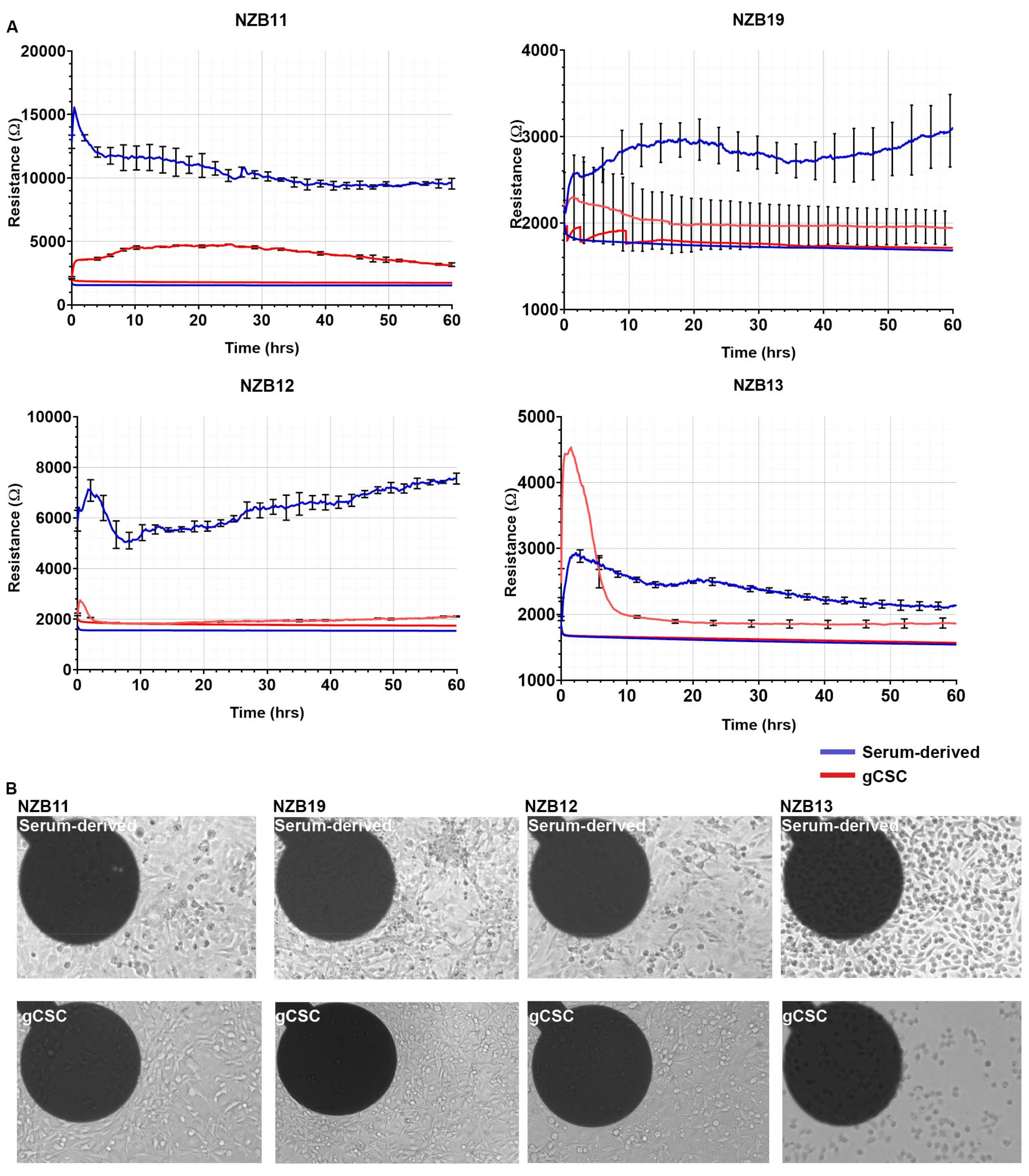 Biosensors 11 00498 g004 550