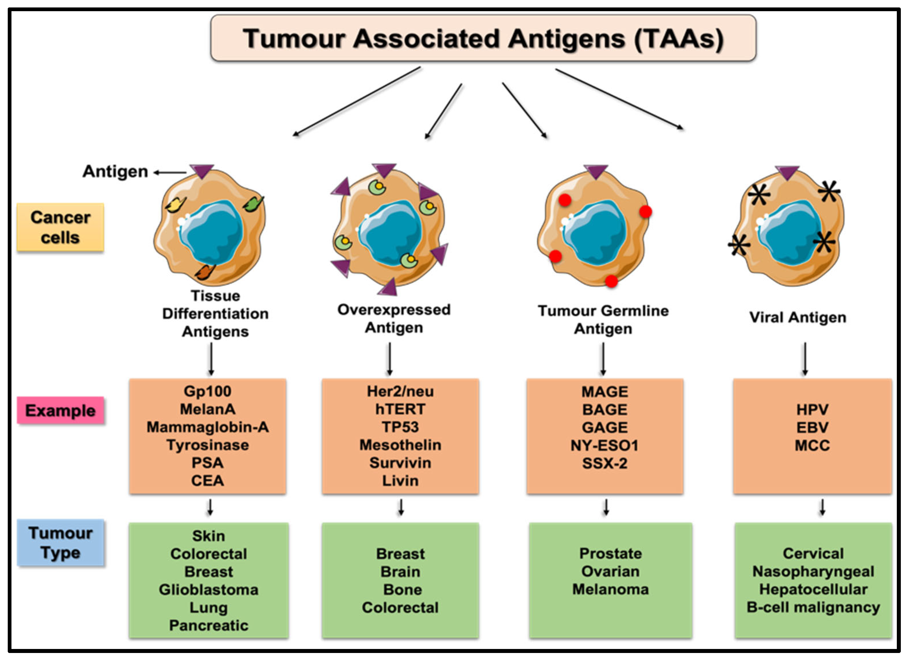 Biosensors Free FullText On Demand Biosensors for Early Diagnosis
